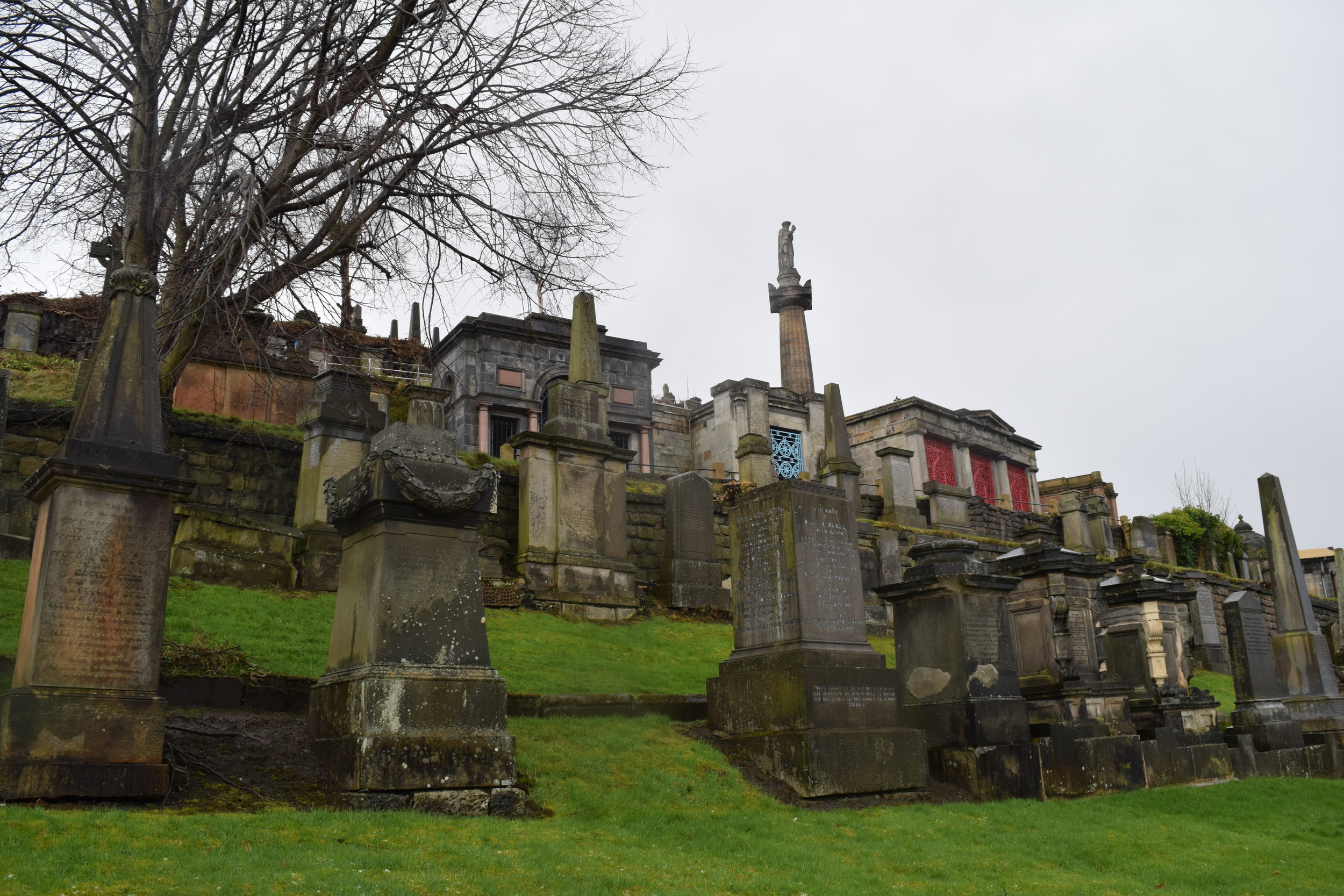 DSC_8231.jpg