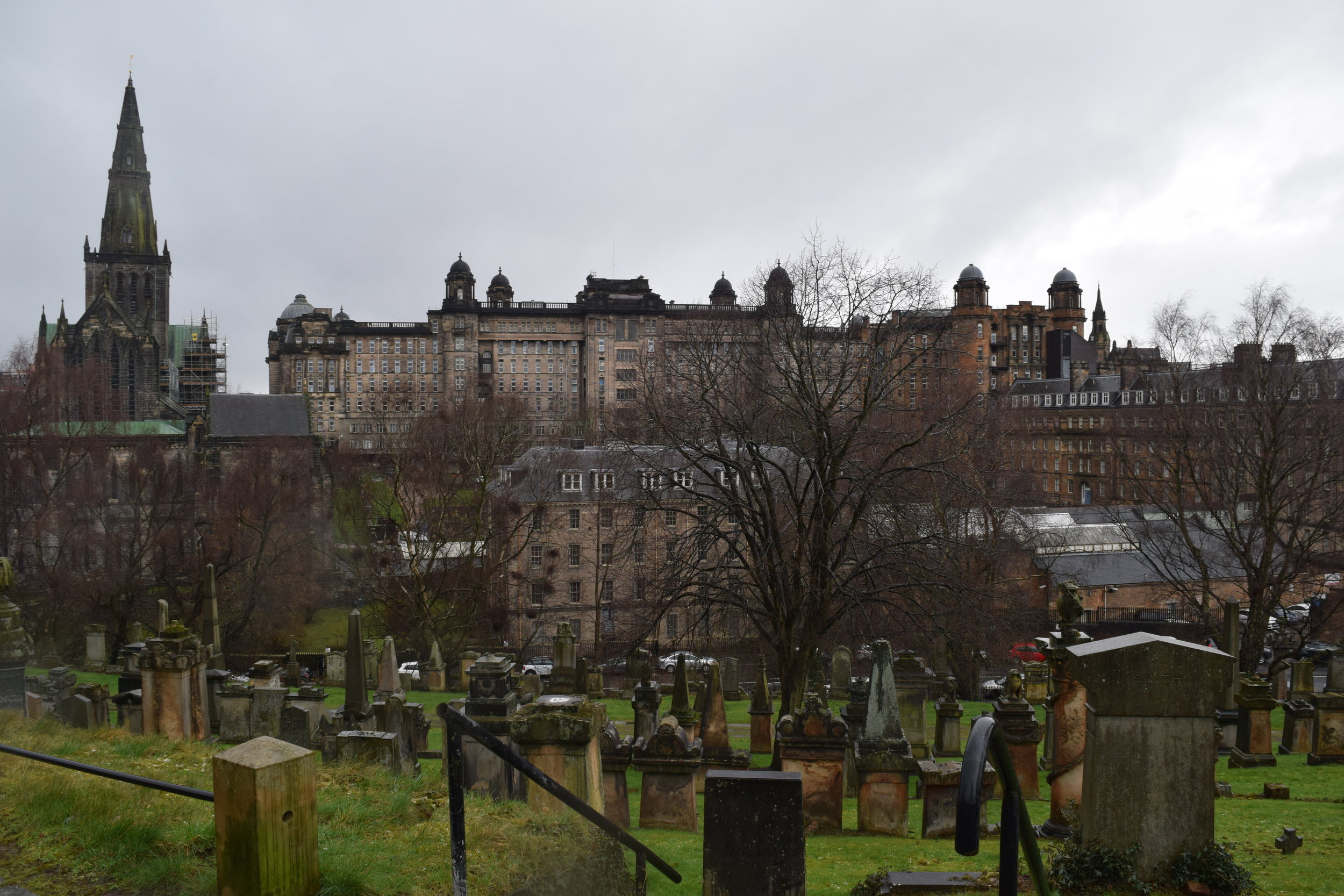 DSC_8229.jpg