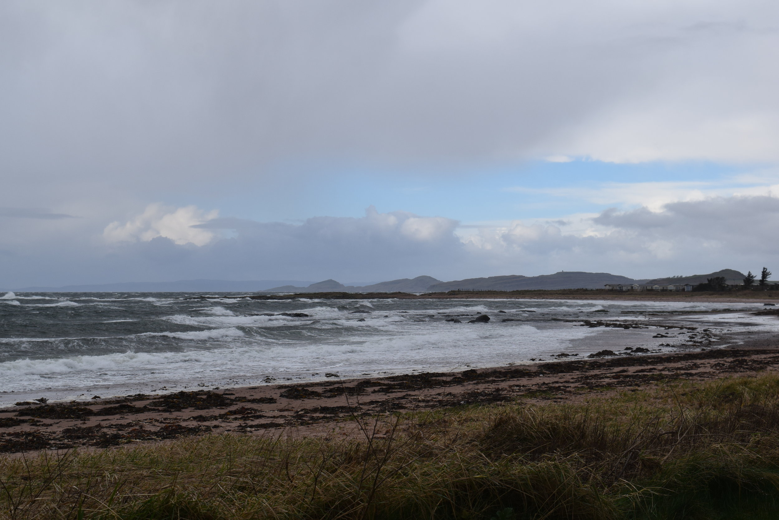 DSC_8281.jpg