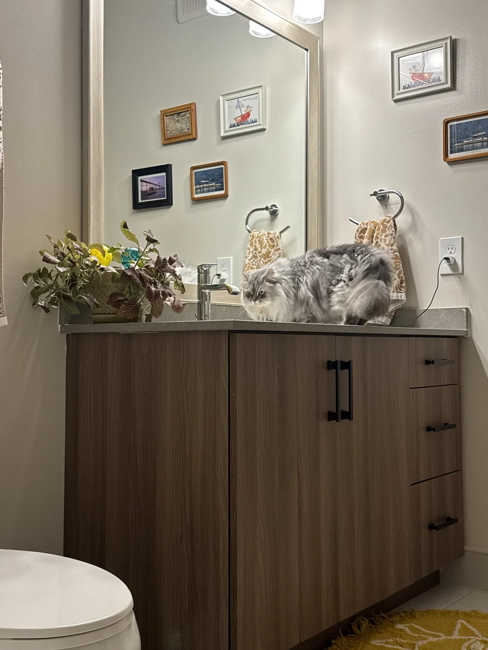 IMG_3674.jpeg