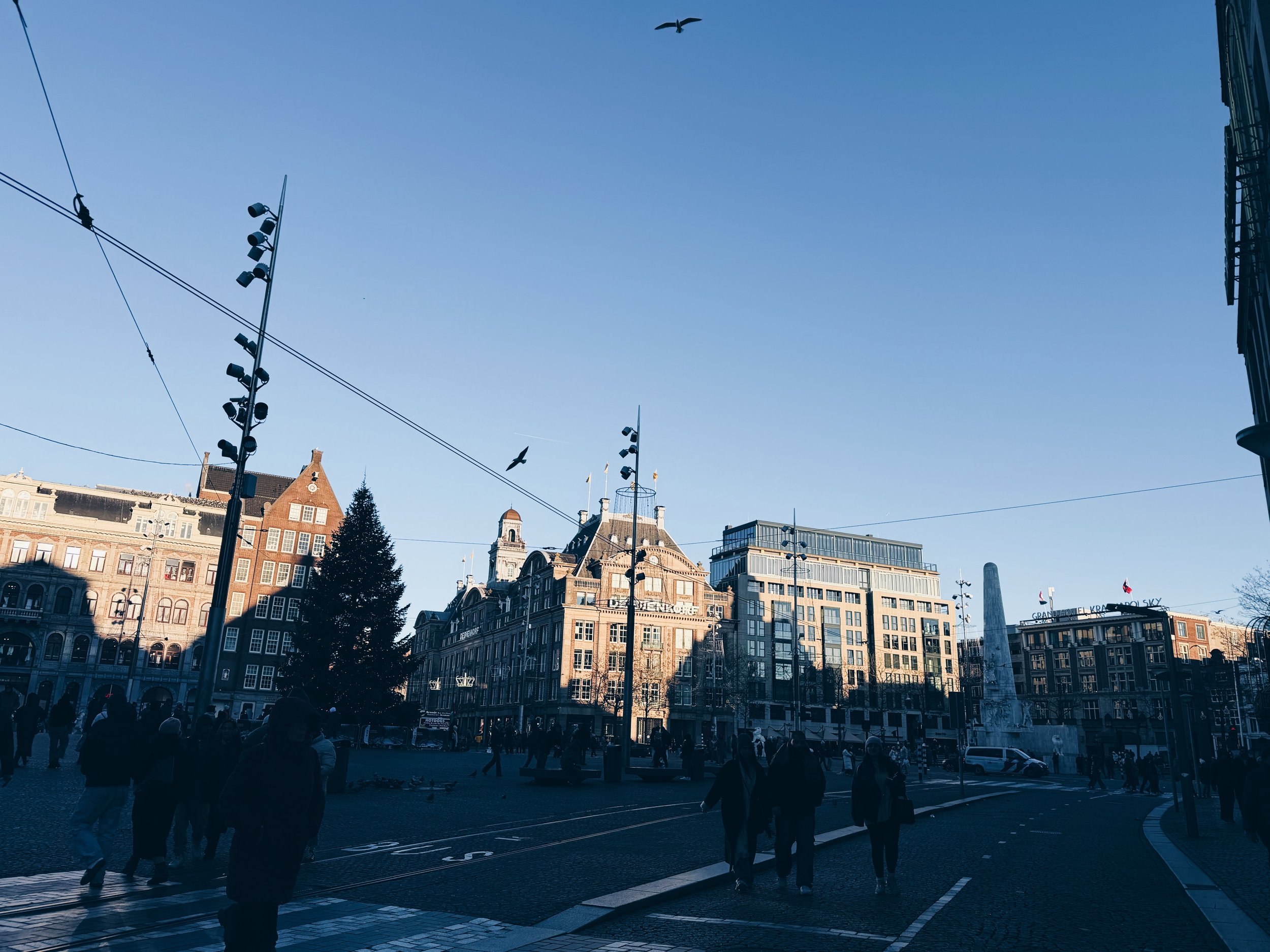 1FEC72A1-CA08-4375-8C70-24B7F7376592 2.JPG