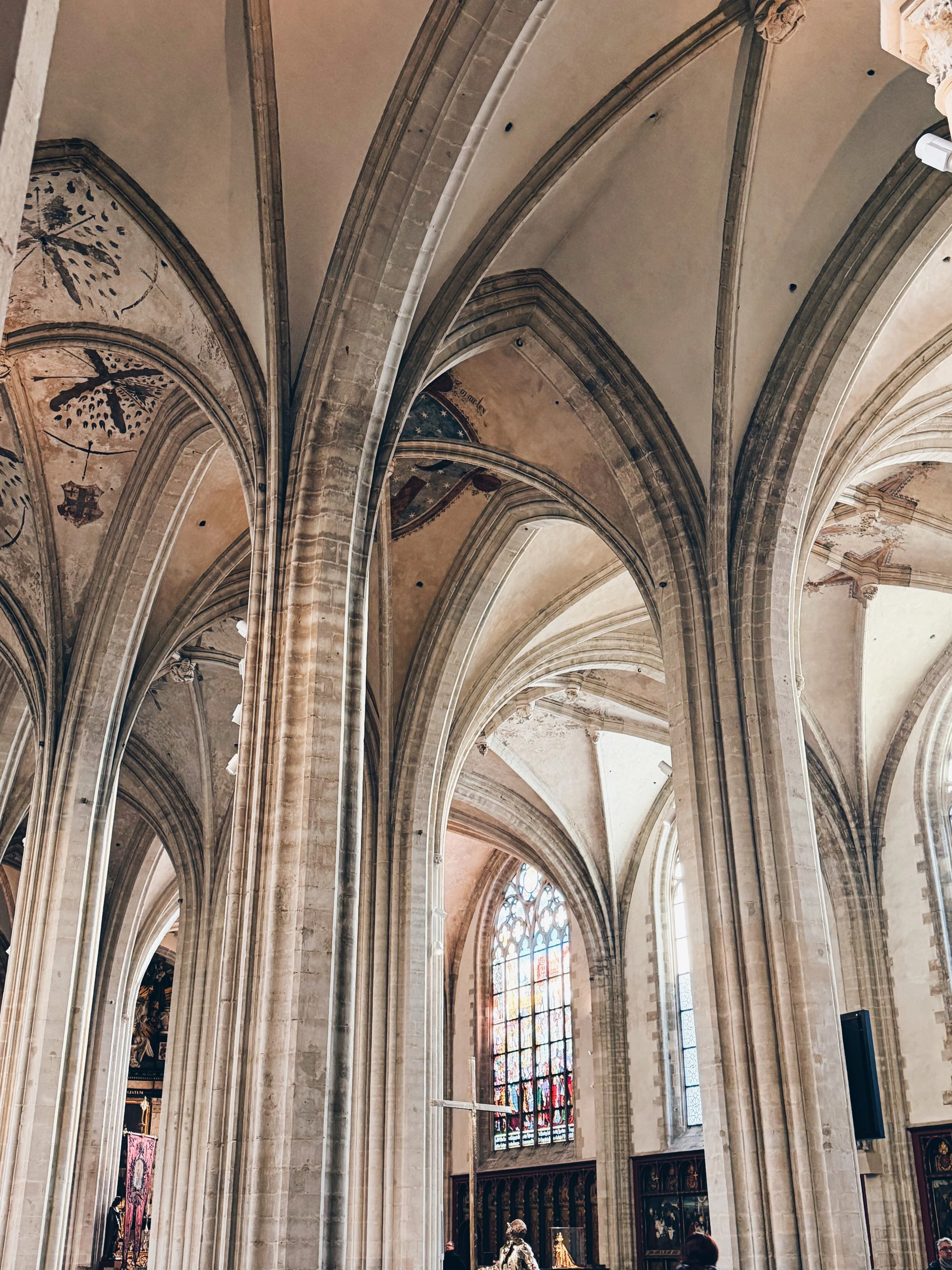 4CB1DFC2-0ABB-4B0C-A70F-C7FF02BB6DF9 3.JPG