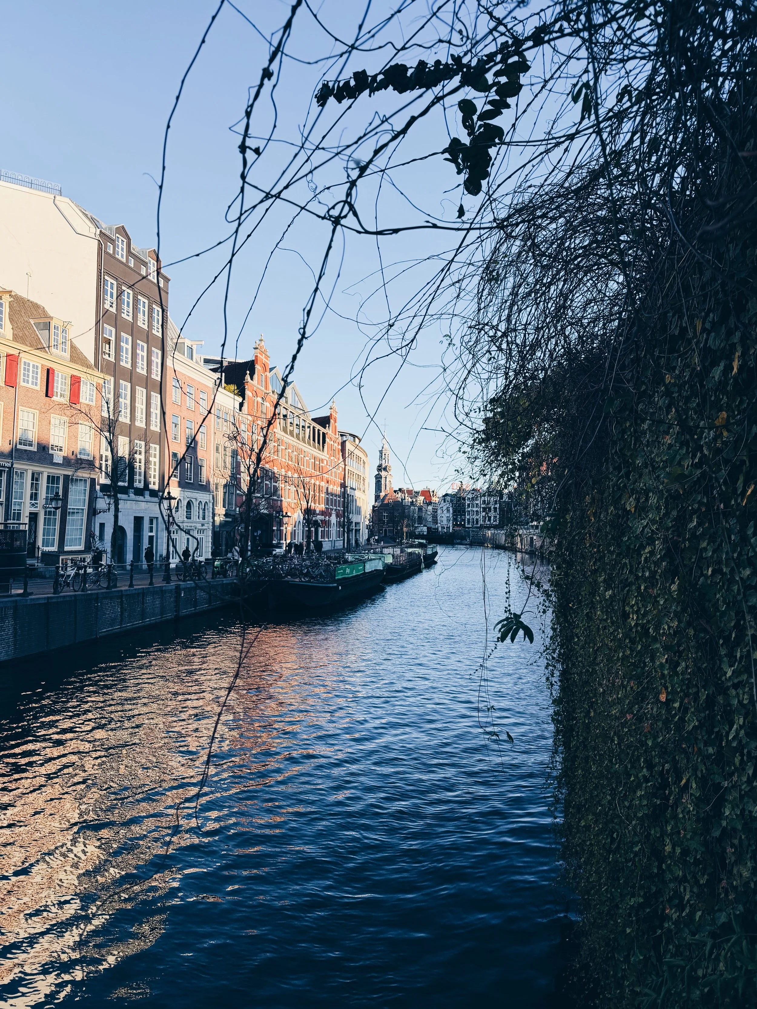 4EBEFCB2-601B-41E2-AD96-321E3A8BE337 2.JPG