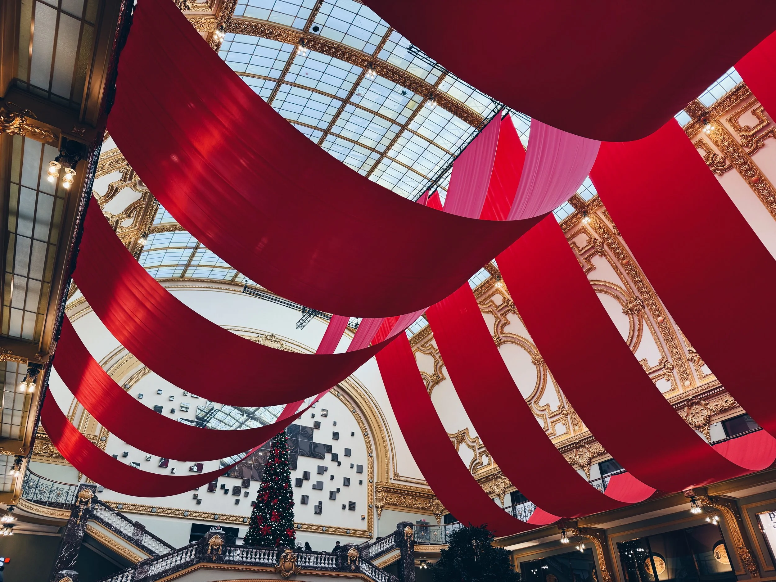 4F36400F-6E6E-4F4F-8AA0-9BE5A962E334 2.JPG