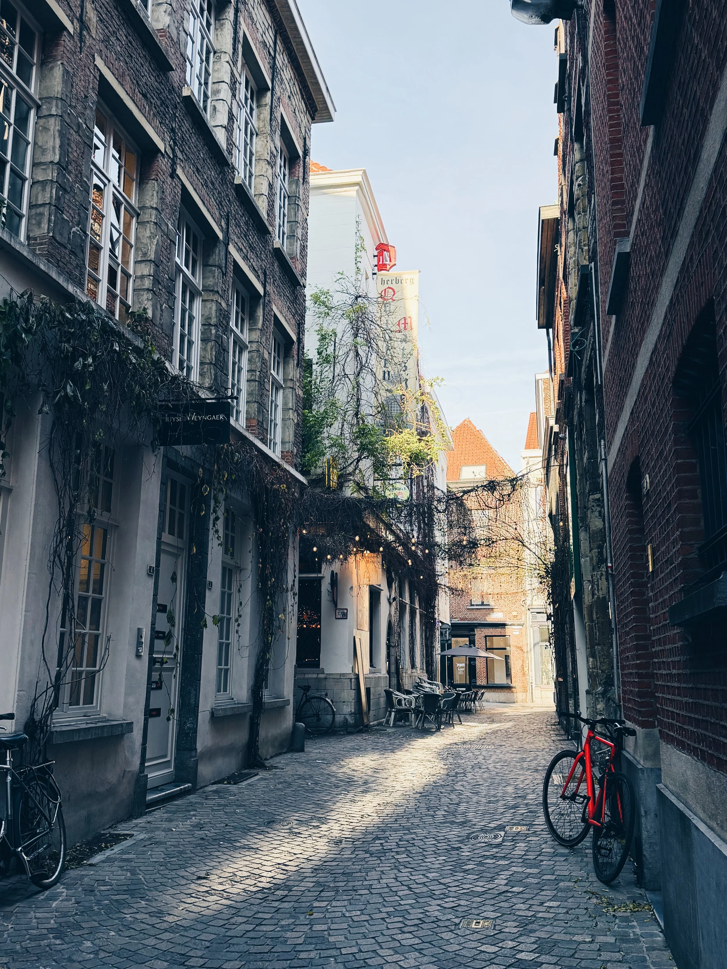 8A7A490F-AD71-4AB5-A5F8-3631ECA15915 2.JPG