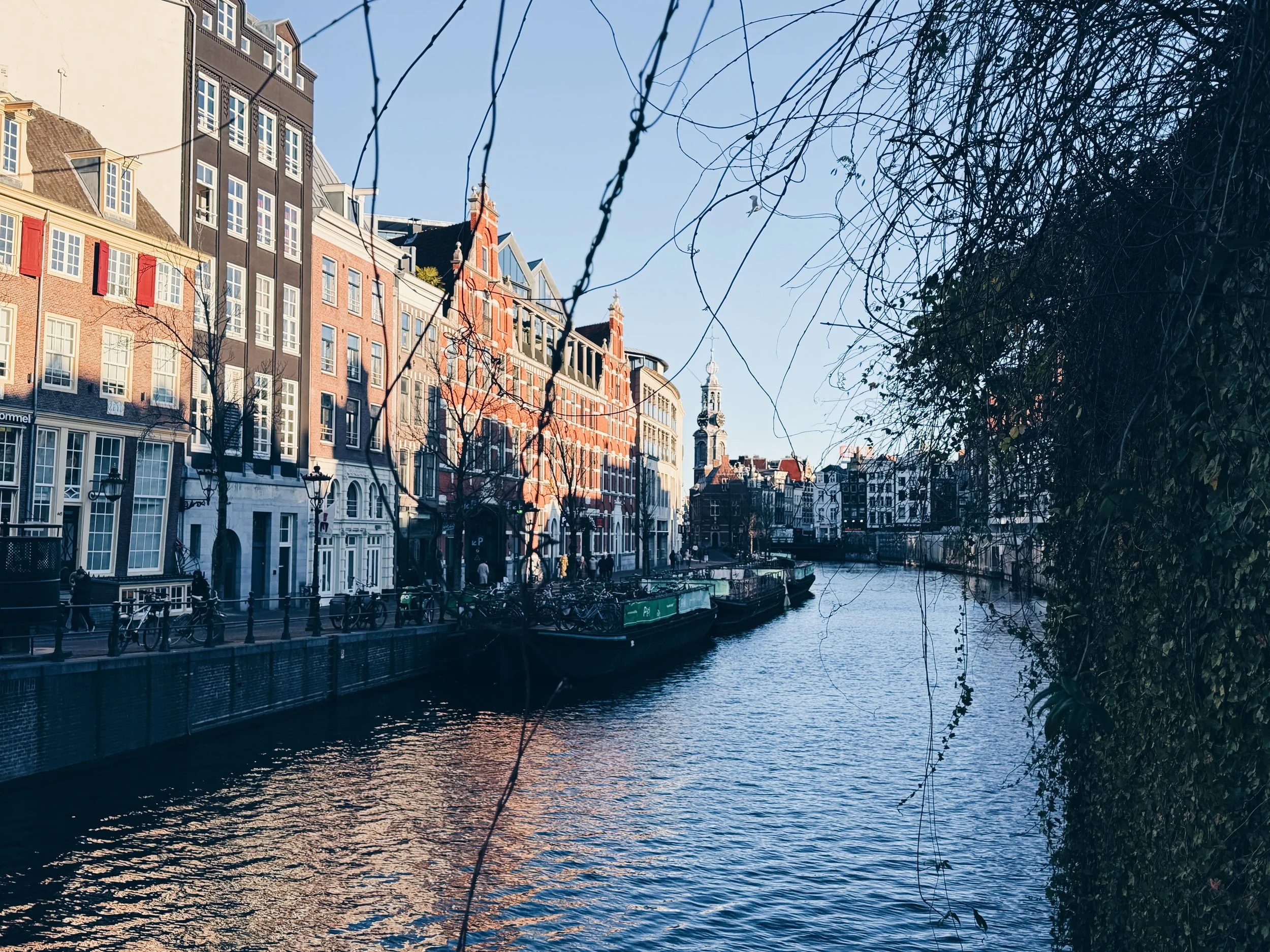 95EE4D79-47E5-4671-B9B0-ACDA636F20DC 2.JPG