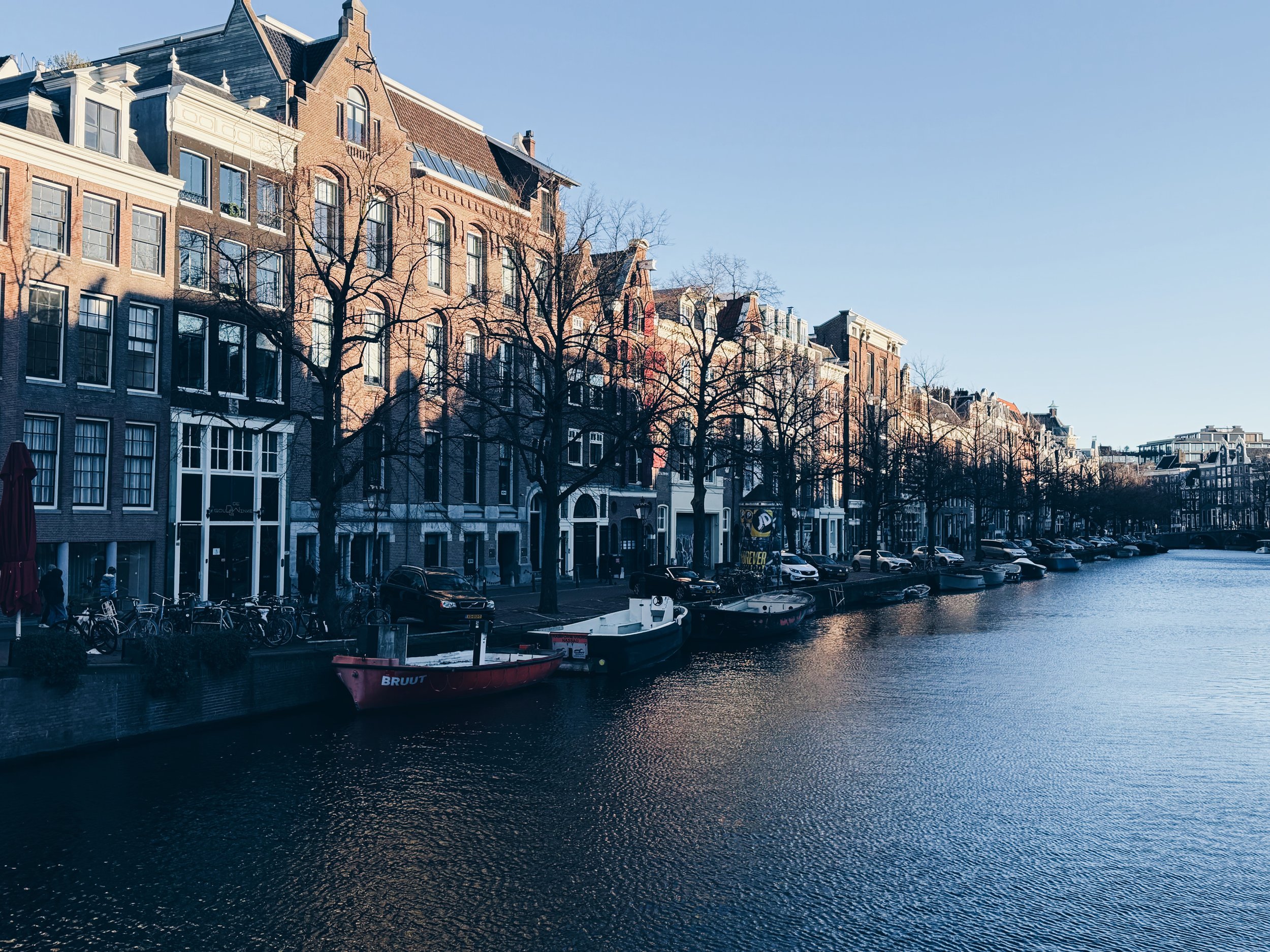 105B0B7C-BE9F-4B7E-B631-E48DA4EA0BBC 2.JPG