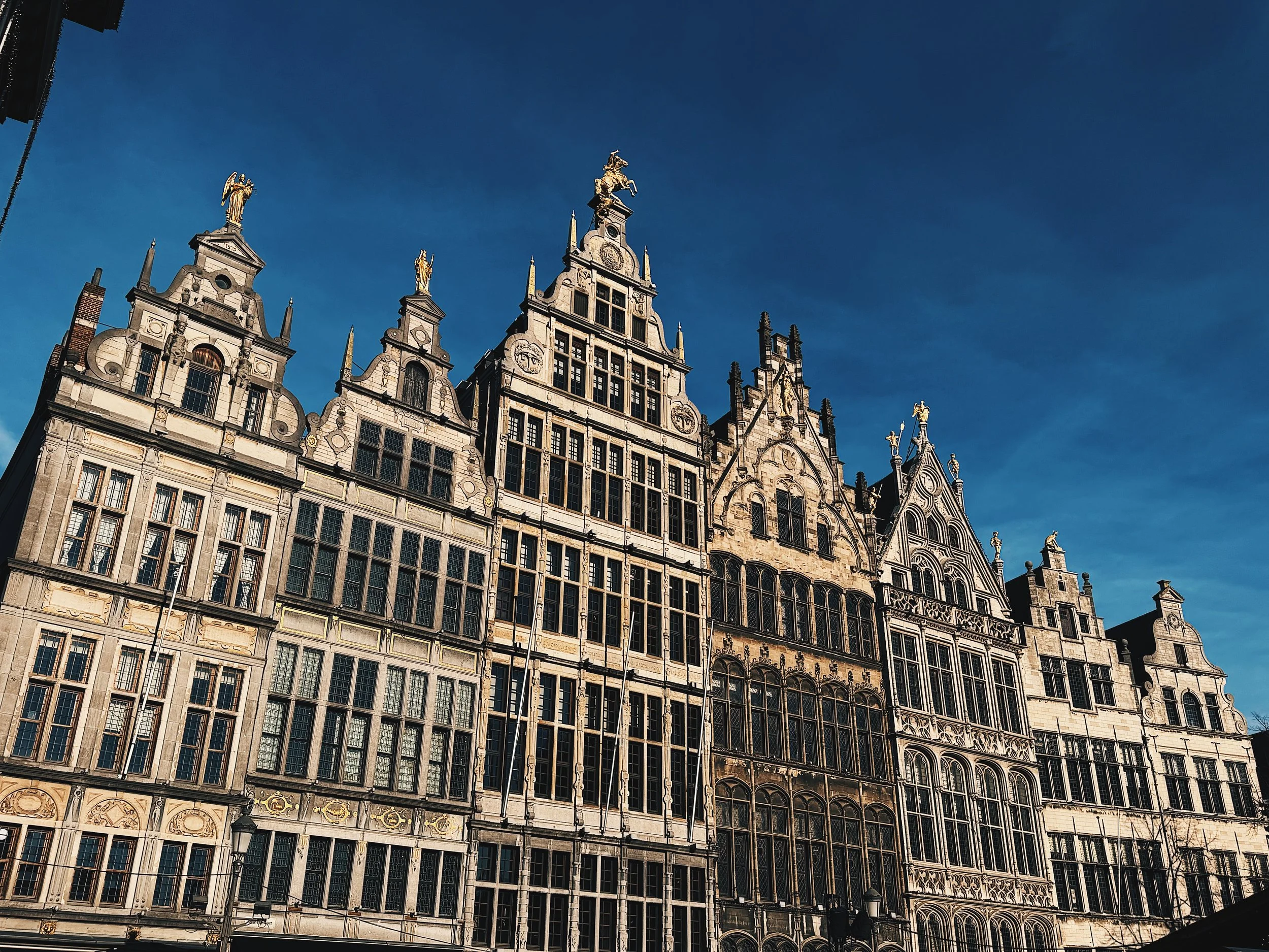 61237AFE-727A-4868-98E4-4361D5DD3322 2.JPG