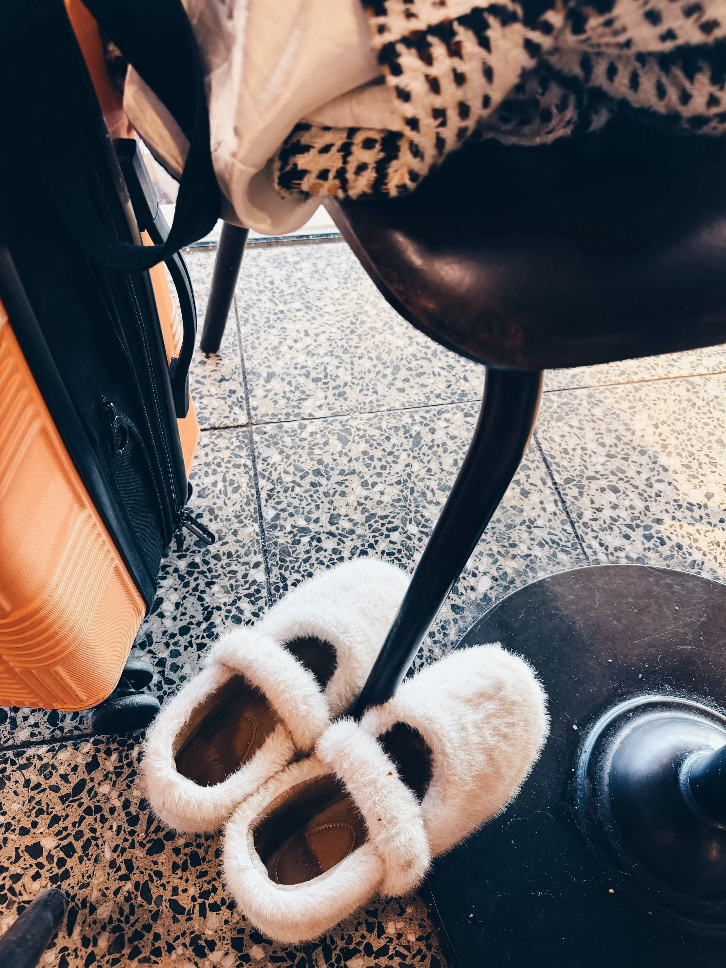 C023BD5F-42EC-4696-BCC7-CA965A928EA8 3.JPG