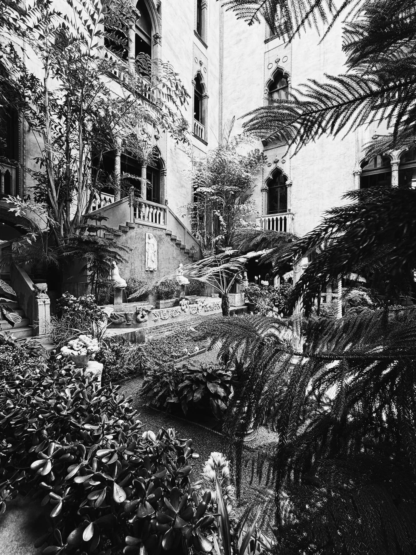 This is your sign to remember the next time your mental health is suffering, get the fuck out of the house and go marvel at something.