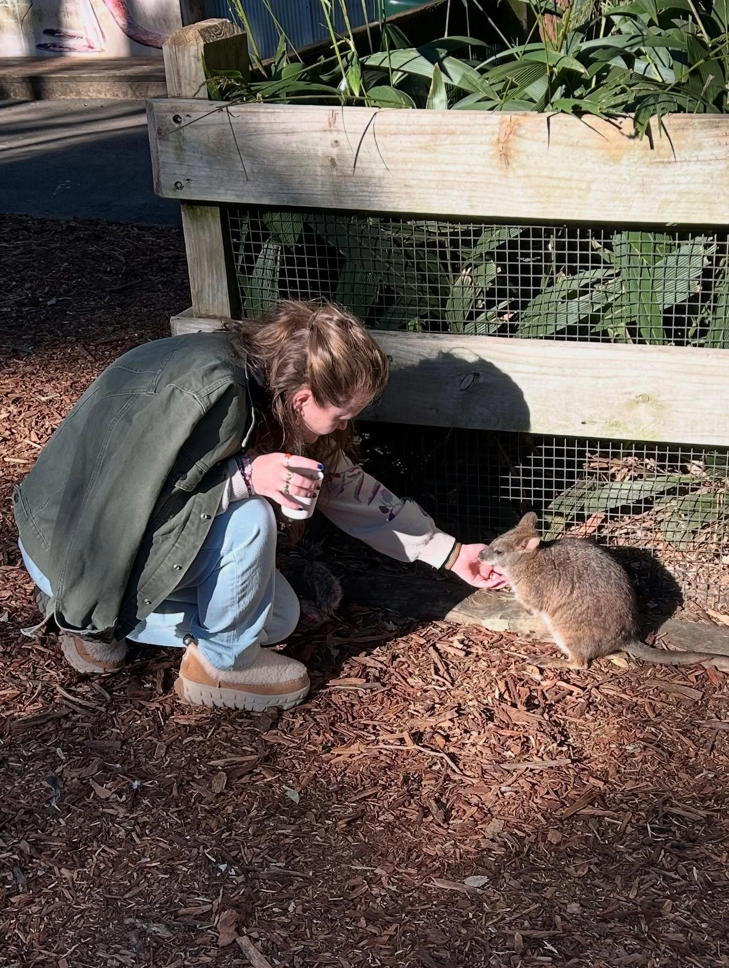 Just me and some Wallabys and &lsquo;Roos. 🦘 🇦🇺