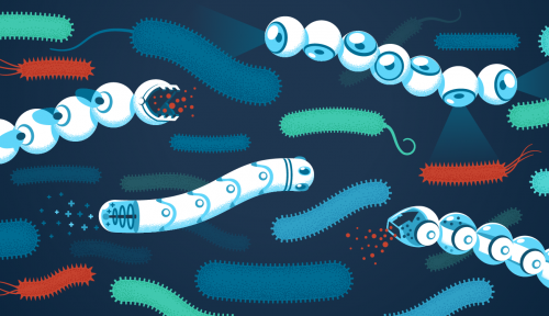 Microbes in the medical bag