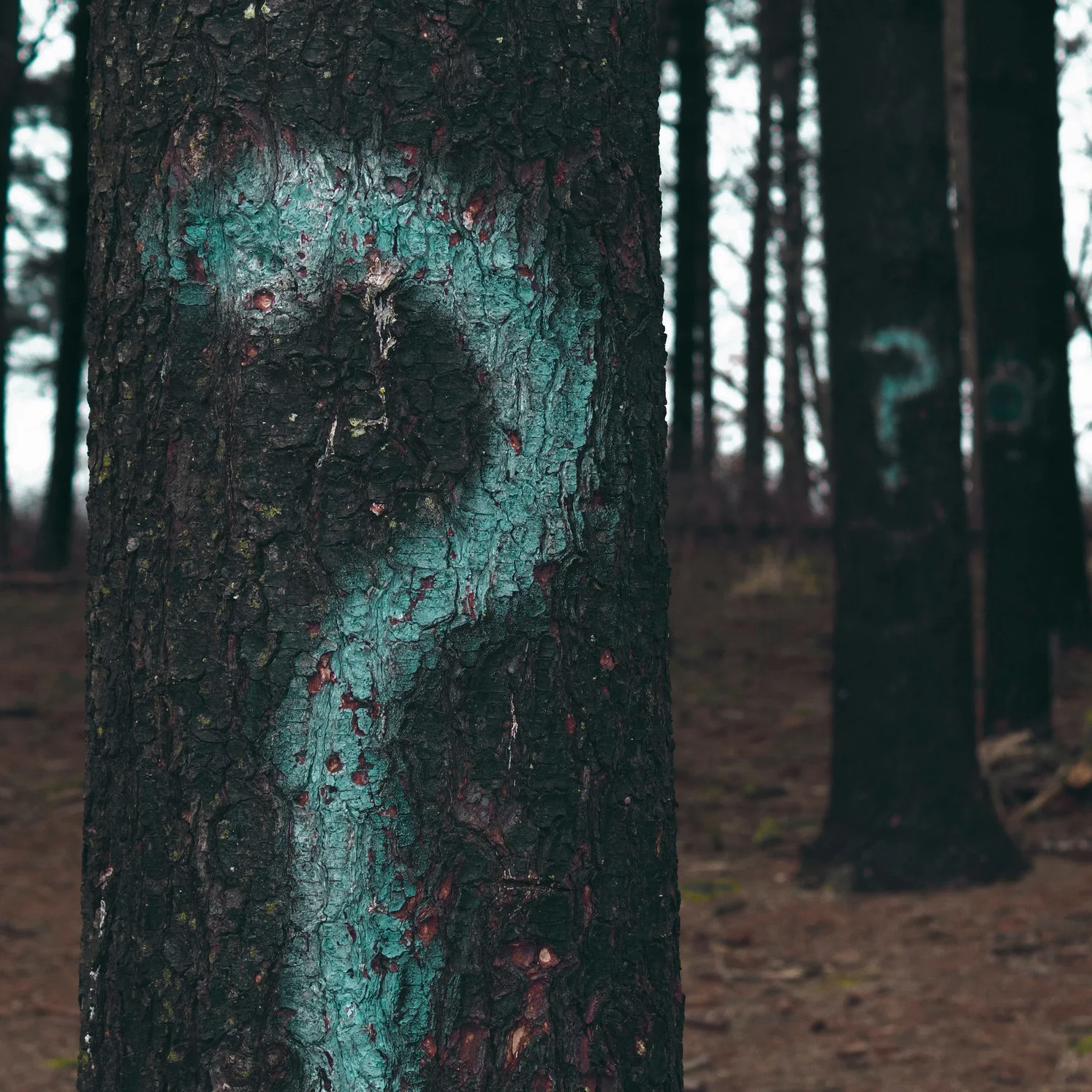 Episode 40 - Are you going to eat that?