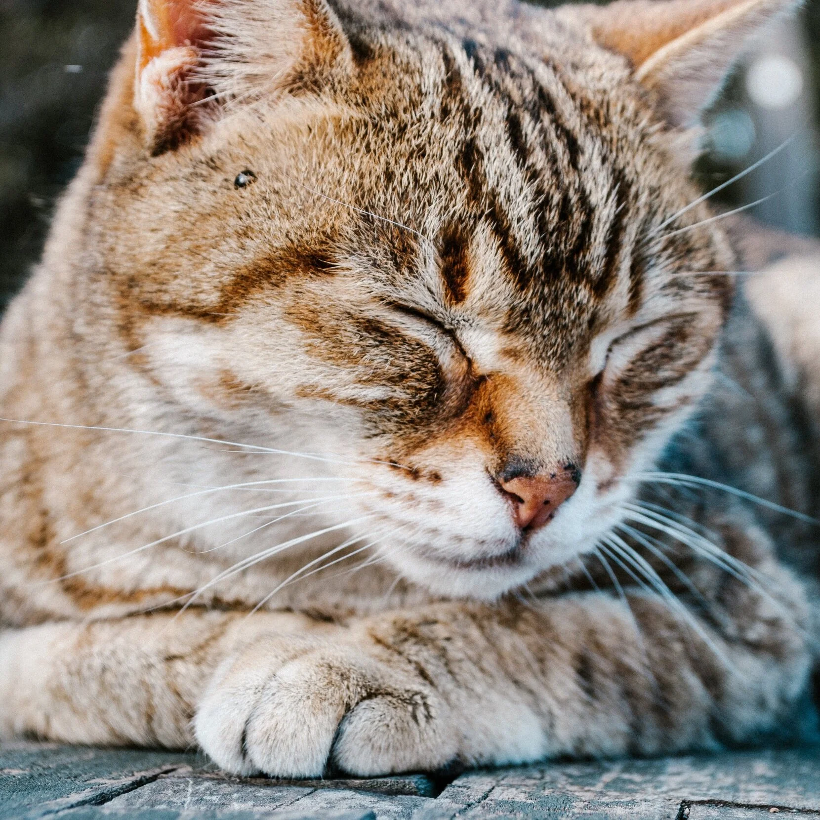 Episode 75 - Sabbath