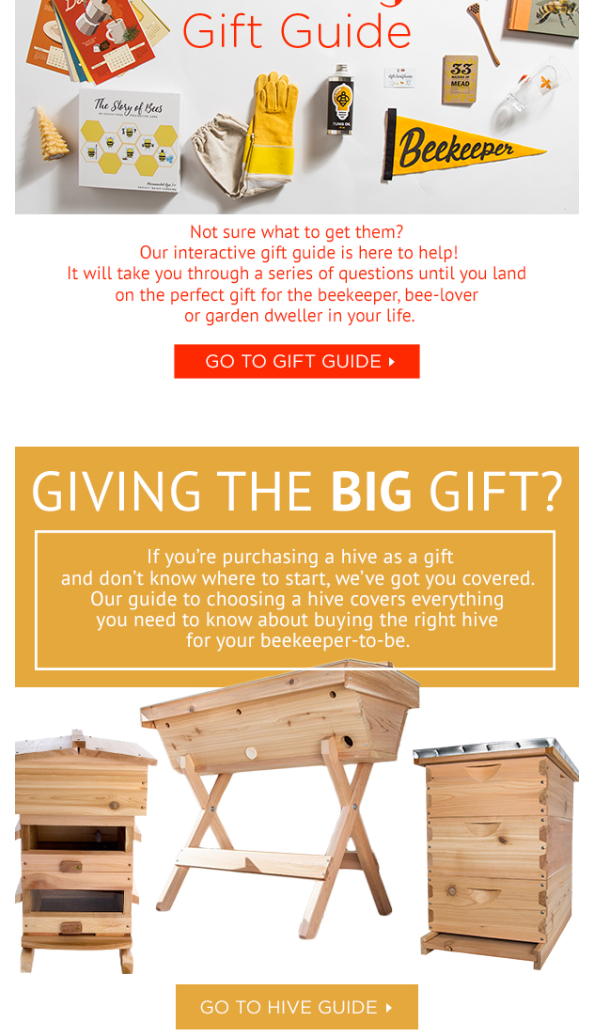 mailer 3.png