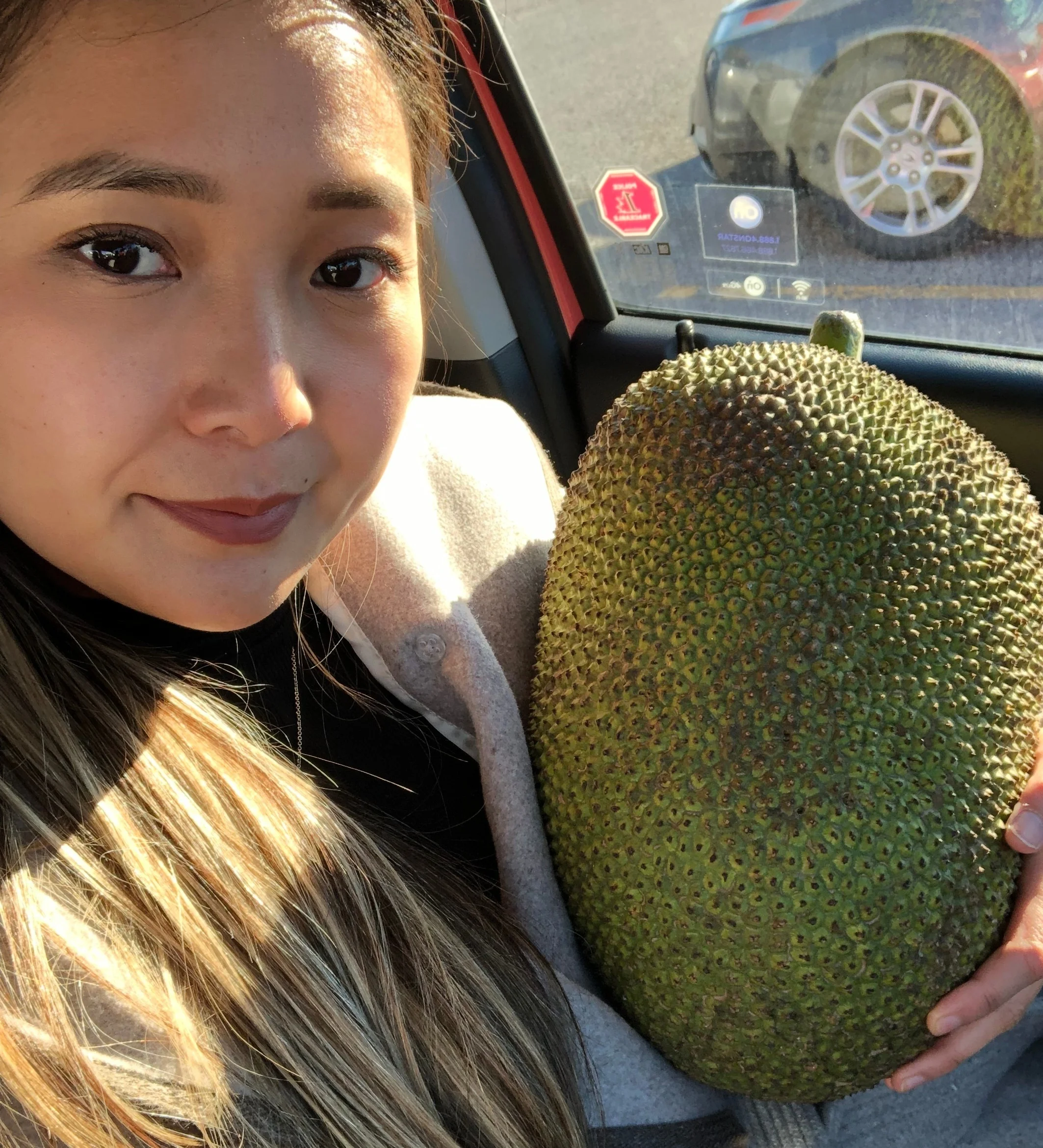 Jackfruit pulled pork