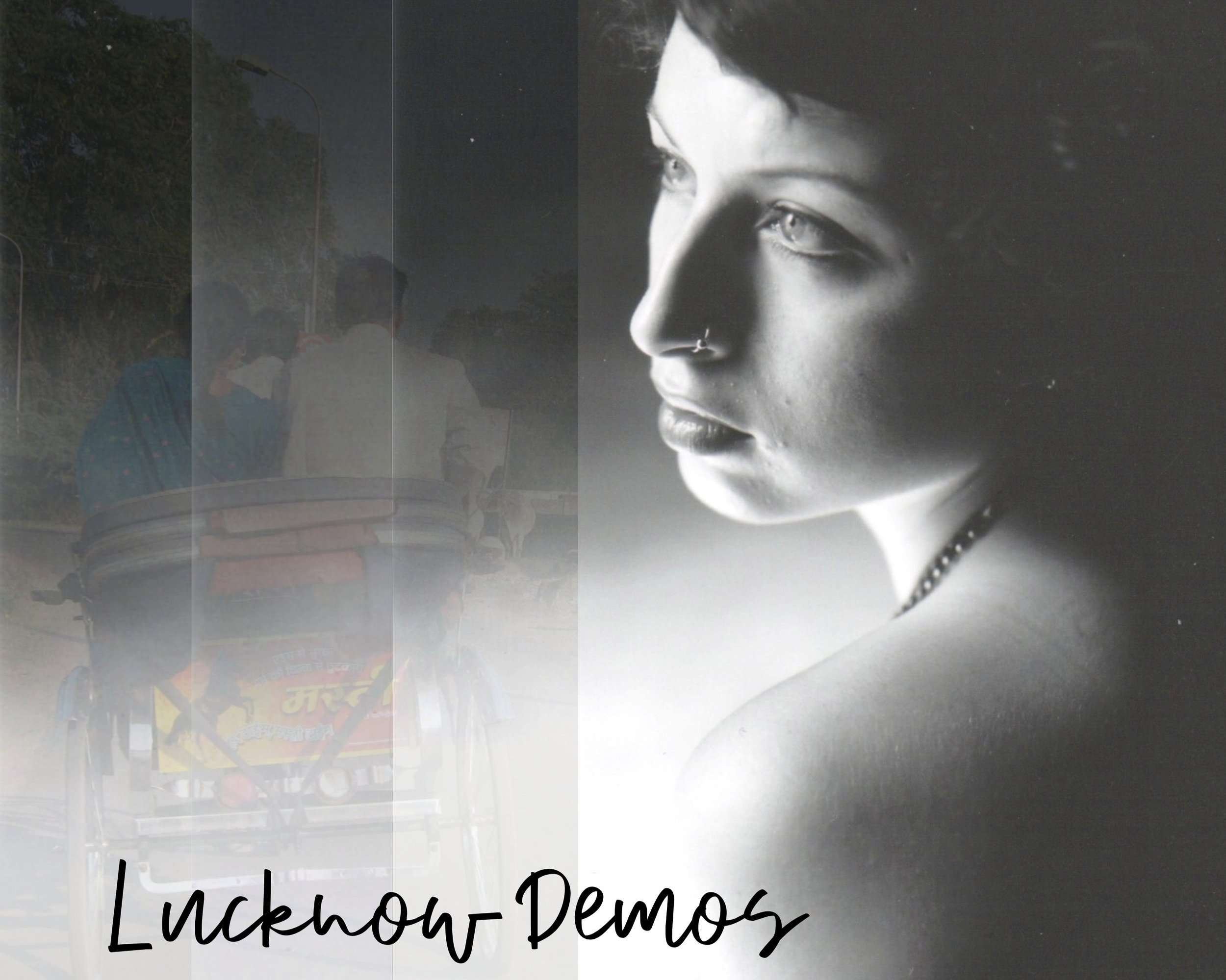 the lucknow demos (Copy)