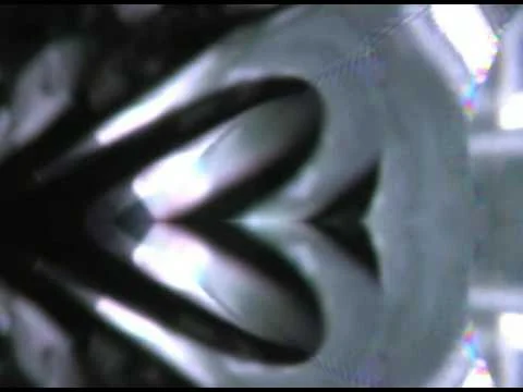 Analog Sunset 2, Video Flower