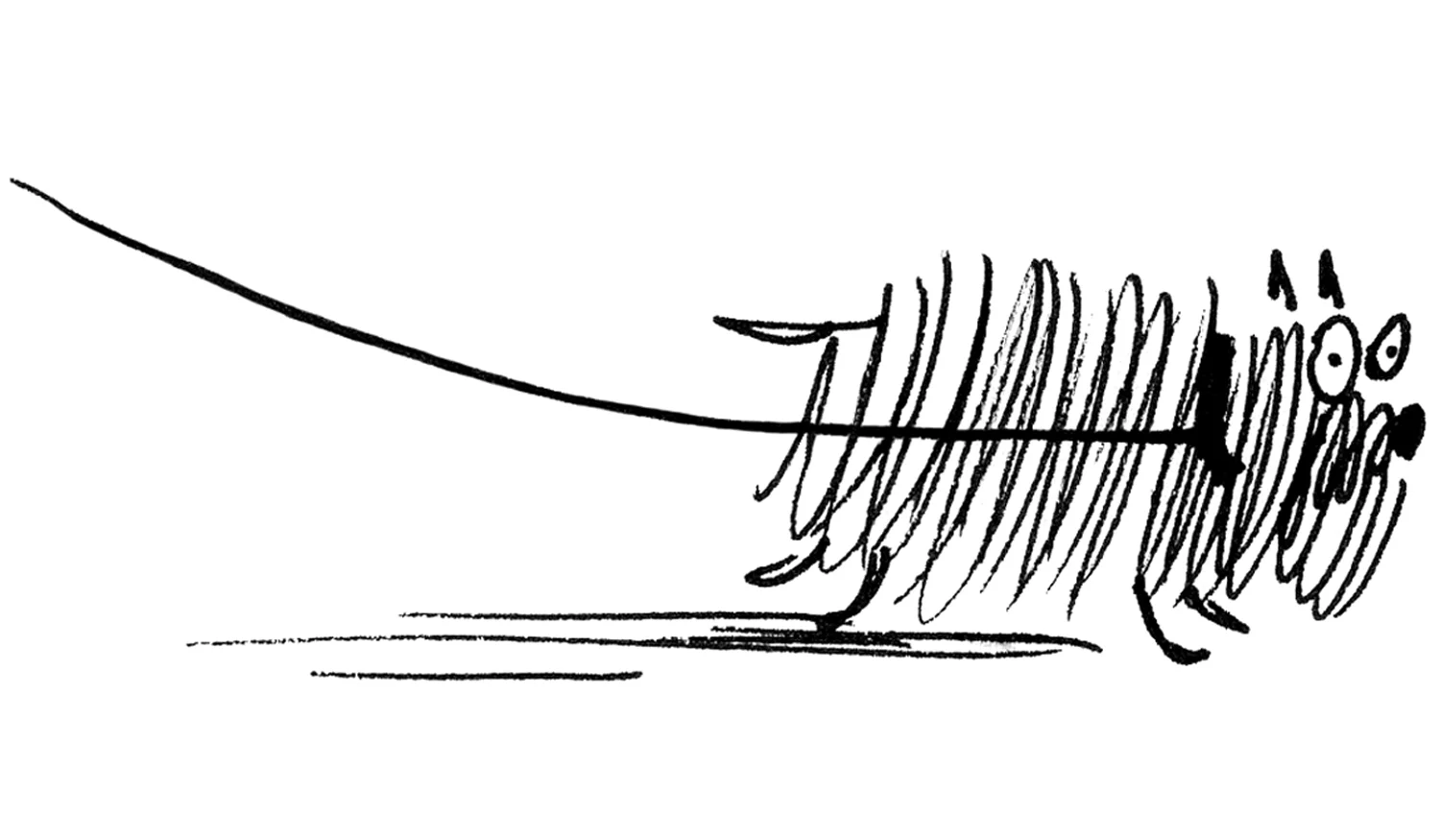 streckhund_stor.jpg