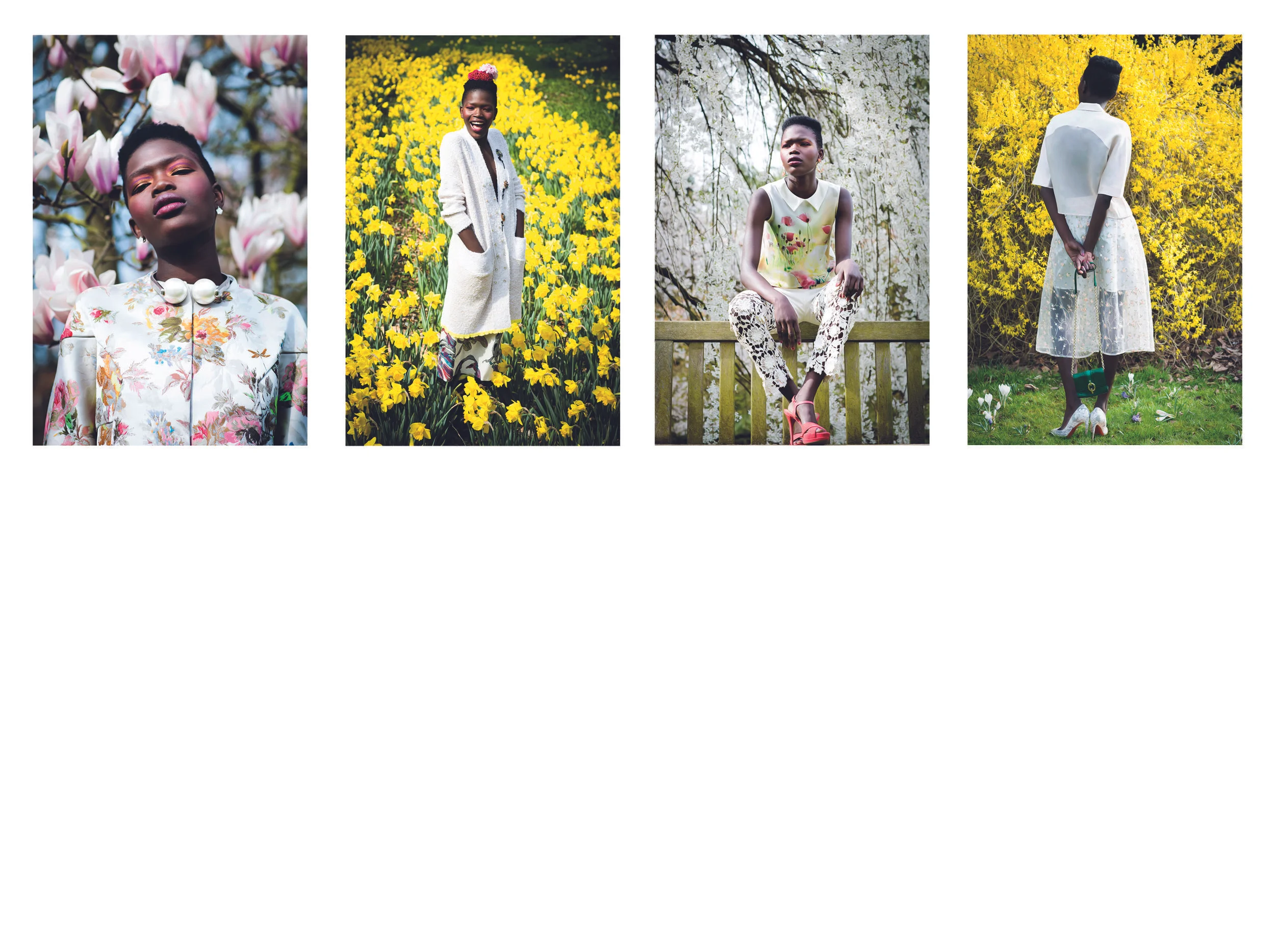 bloemen.jpg