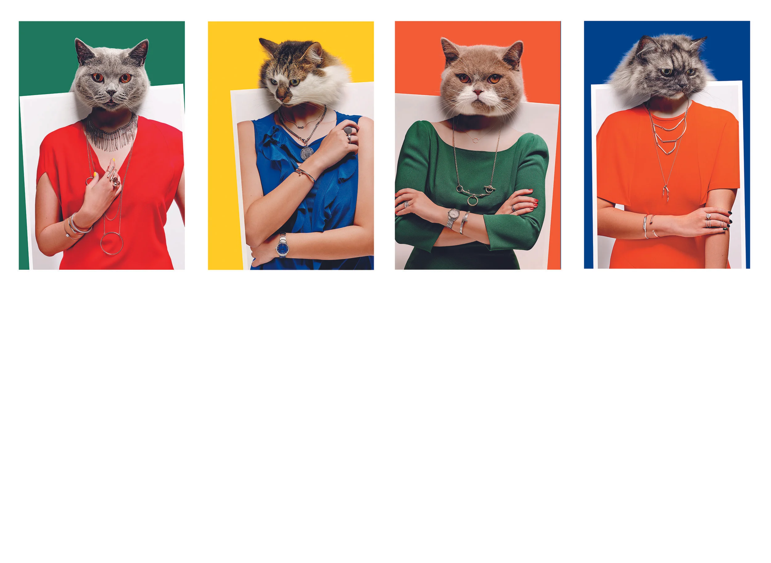 claudia stater 2.jpg