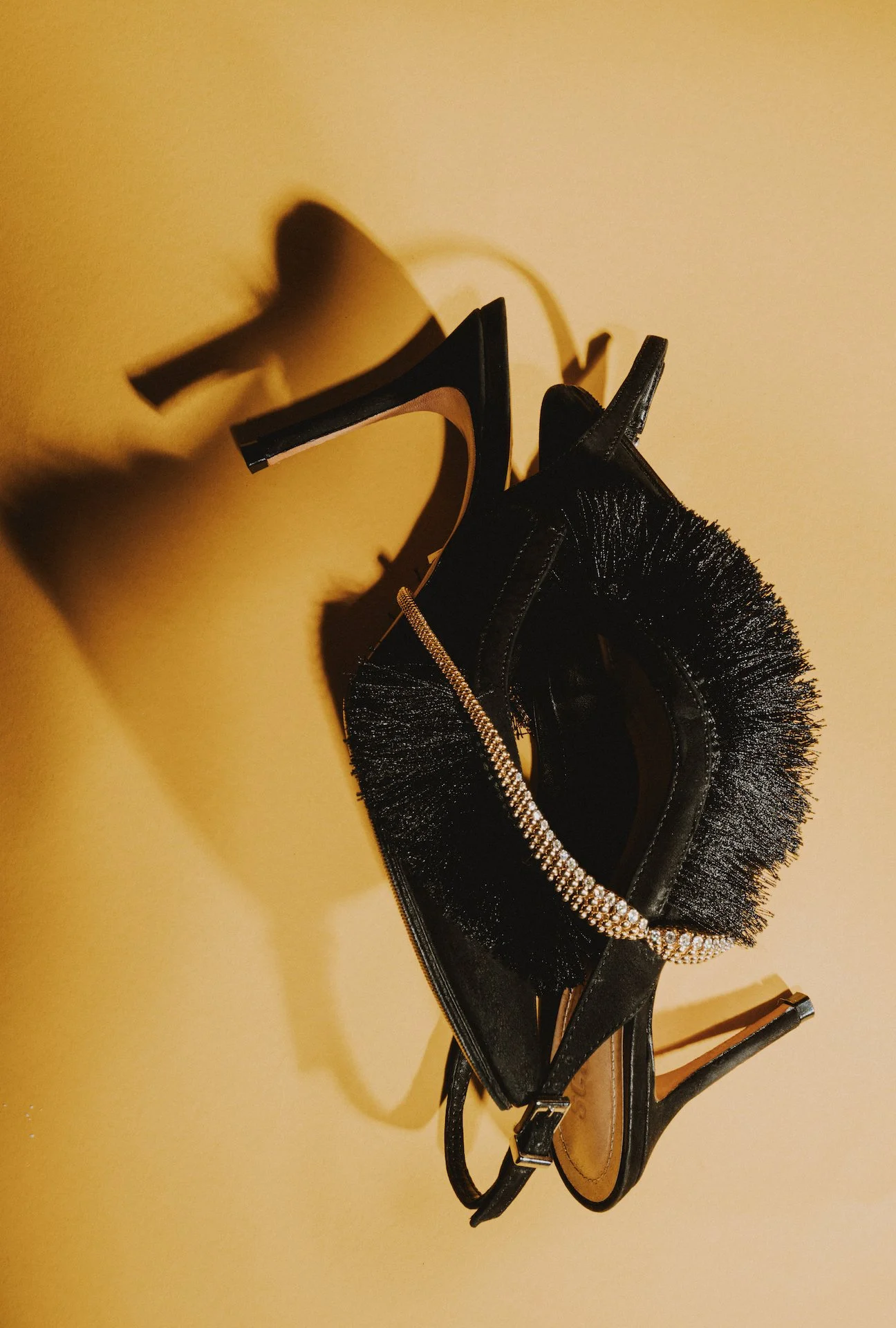 Louis Reichman Fall 23:24 .jpg