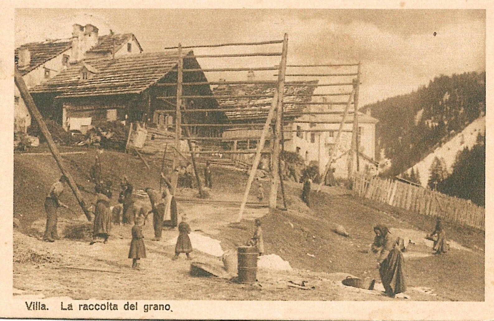 Rye harvesting in Villa (Bedretto Valley).