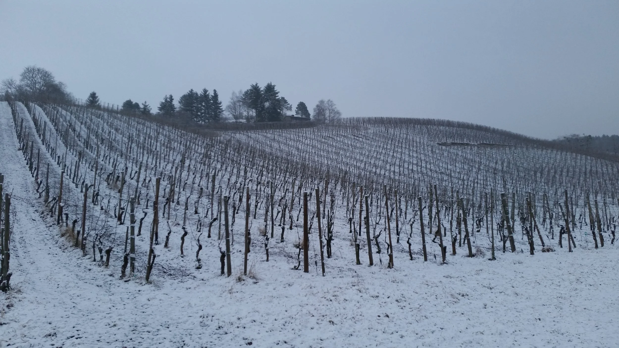 2017-02-11 08.26.03 - Copie.jpg