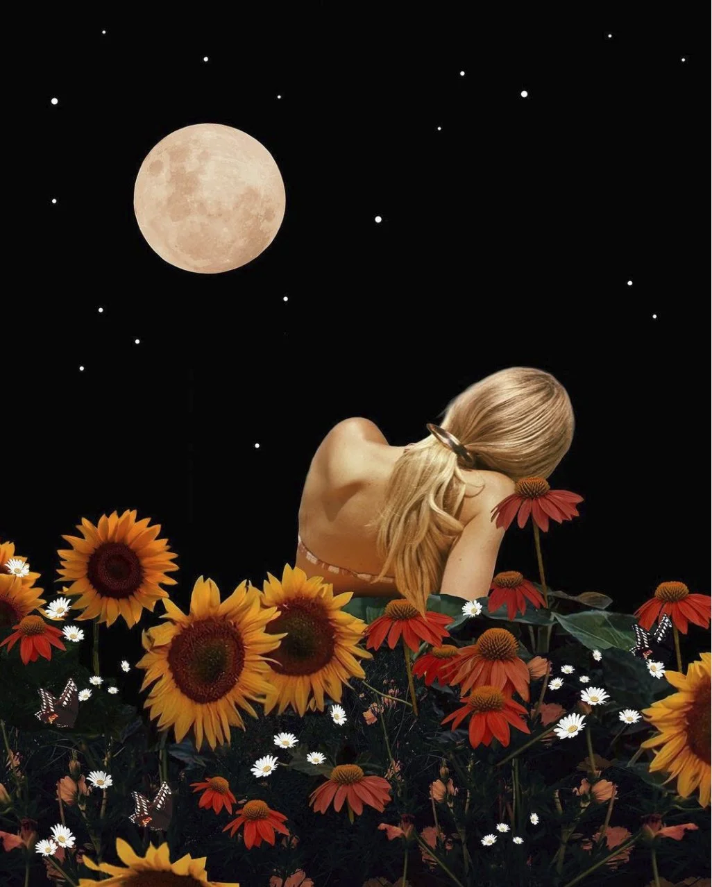 Night Meadow.jpg