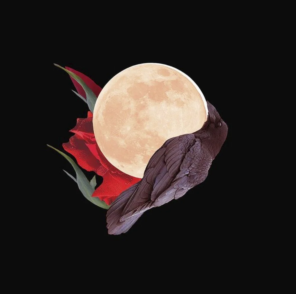 Rachel Derum 'The form is transient, its essence eternal'