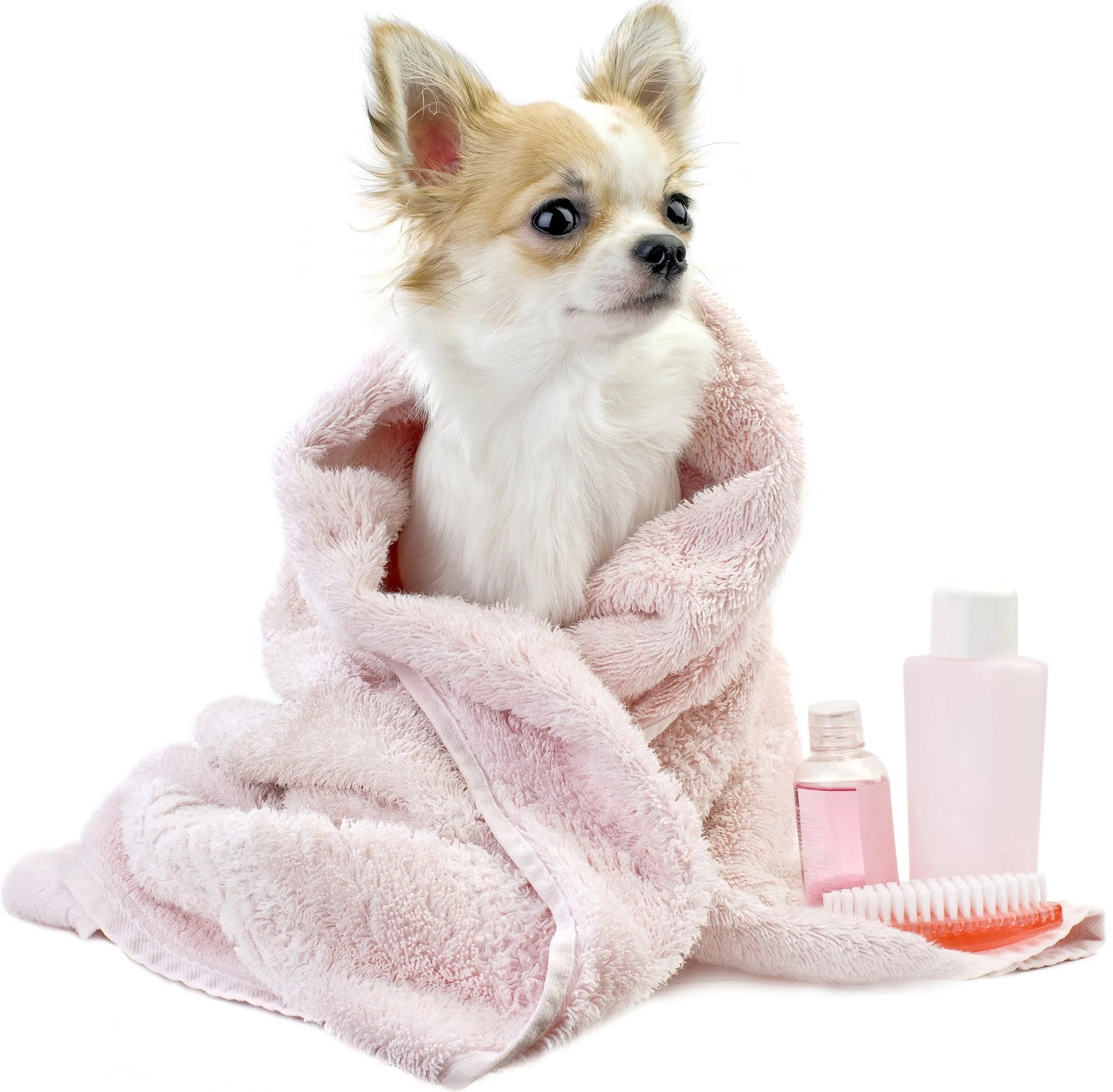 iStock-106440902.jpg
