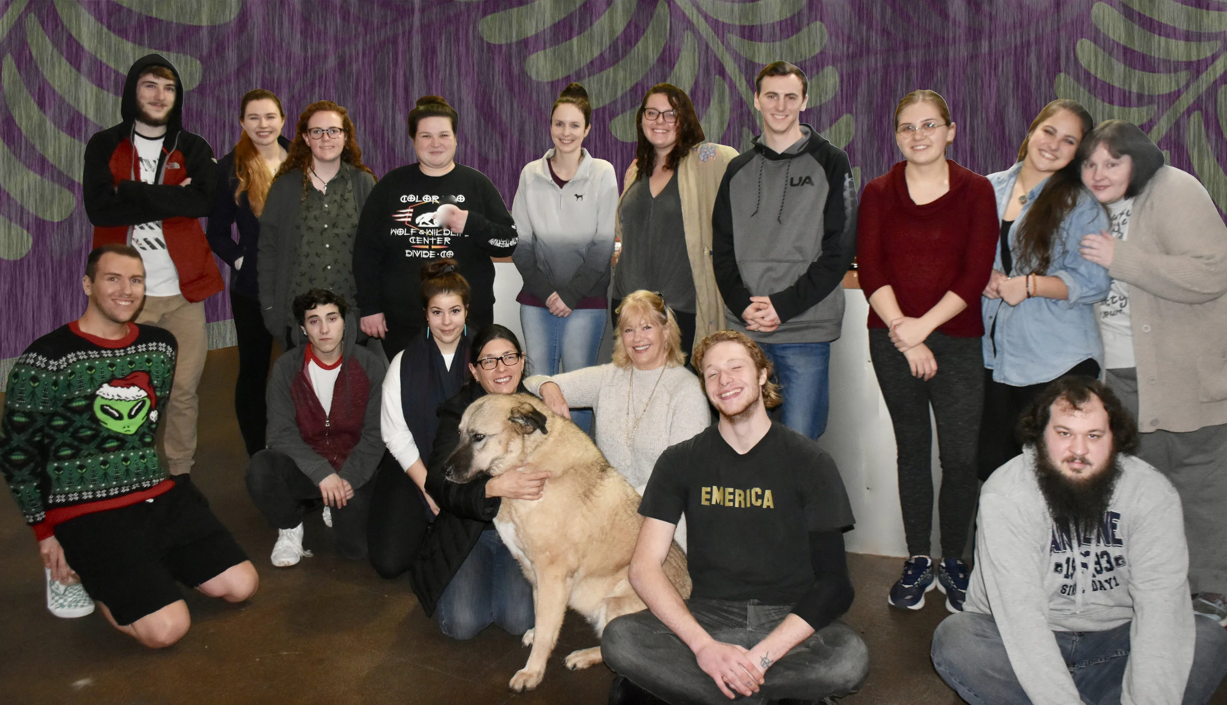 These are the wonderful crew who take care of your dogs on a daily basis. They all love dogs and treat yours as if they were their own. And also pictured is Ashley our "house" dog....her home has been with us for about 9 years...loved by us all!!!