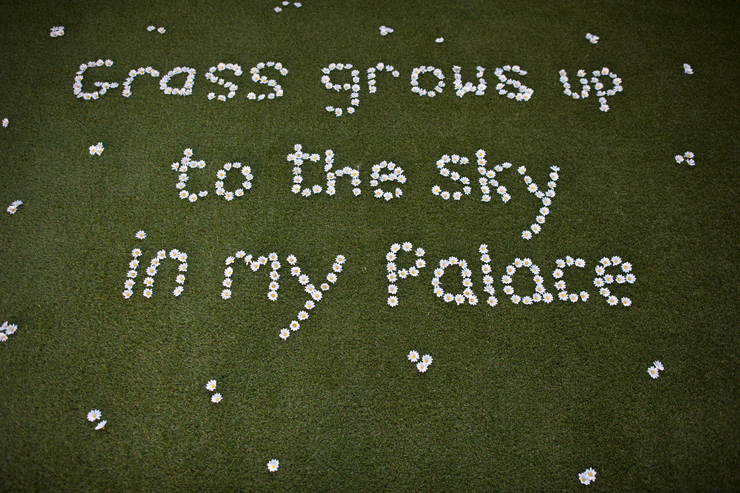  grass grows up to the sky in my palace is written on grass in daisies.    
