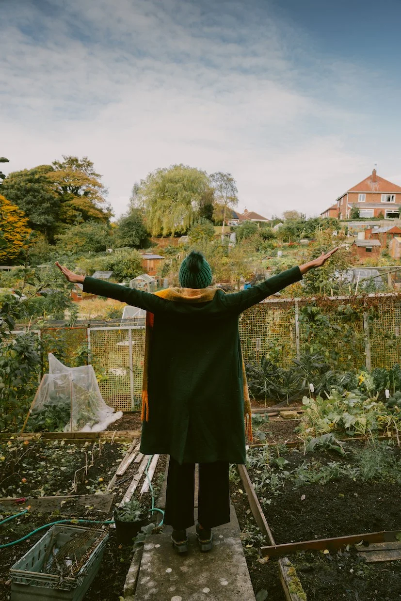 Here Be Dragons Casting Call 