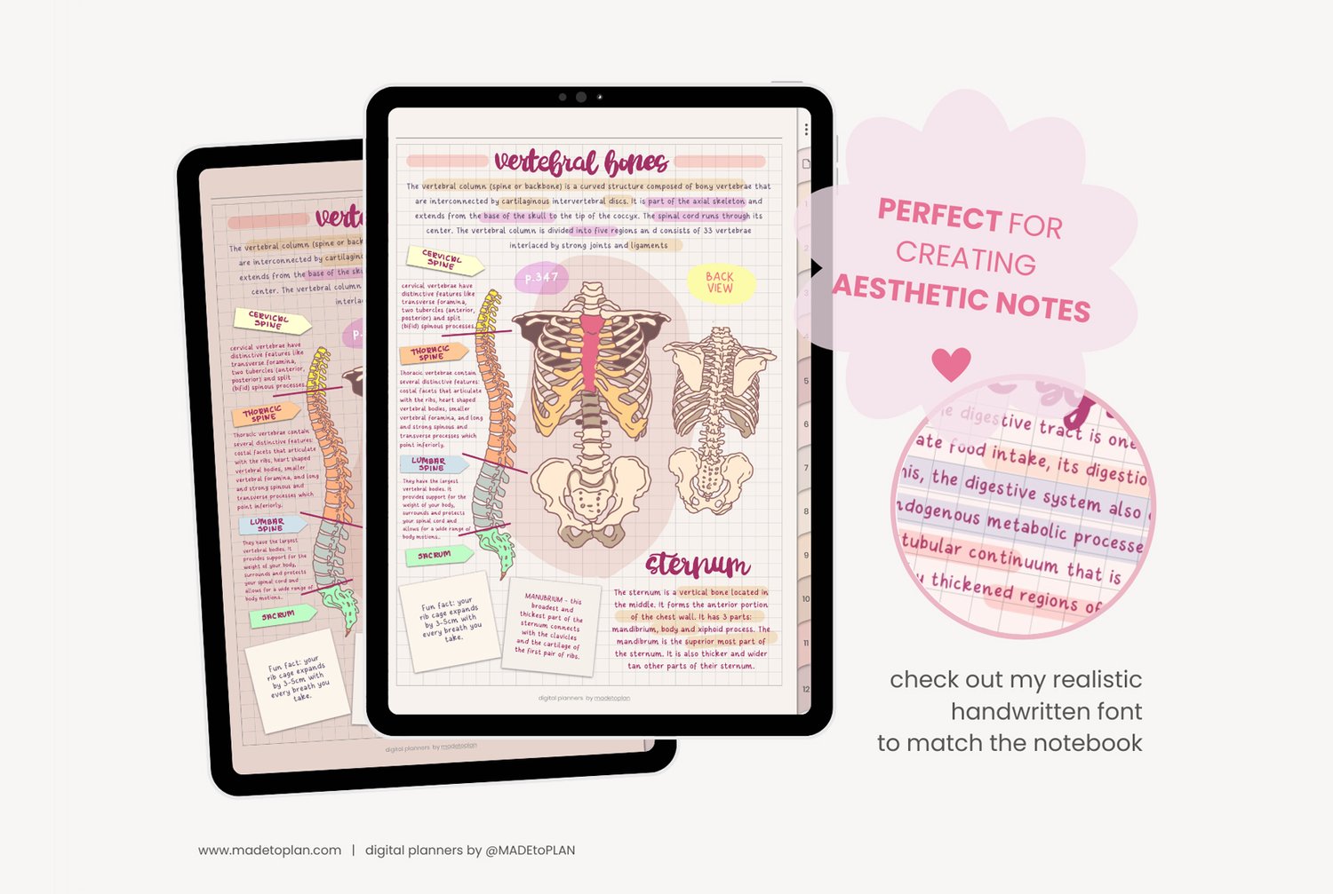 Cahier numérique Modèles de notes numériques Cahier numérique de l'élève 12  sujets et onglets Bloc-notes numérique pour iPad Goodnotes par MADEtoPLAN -   France