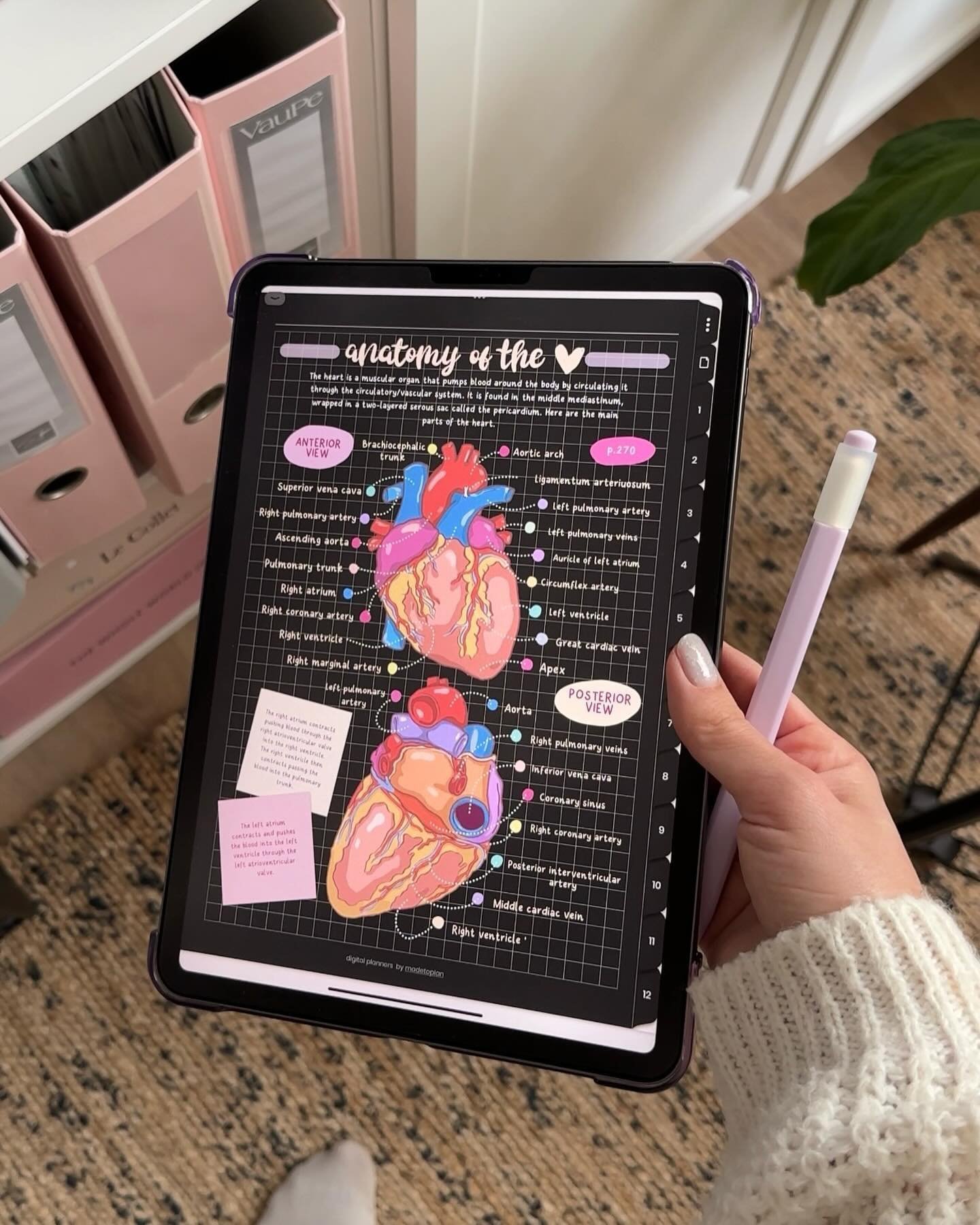 Heart Anatomy notes&gt;&gt;&gt; they always turns out so pretty! 😍🩷✏️ Do we still like these types of posts? 😅 because recently I am struggling what would you like to see more! Let me know! 🙌🏻

Using my new Digital Notebook in Dark Mode and my H