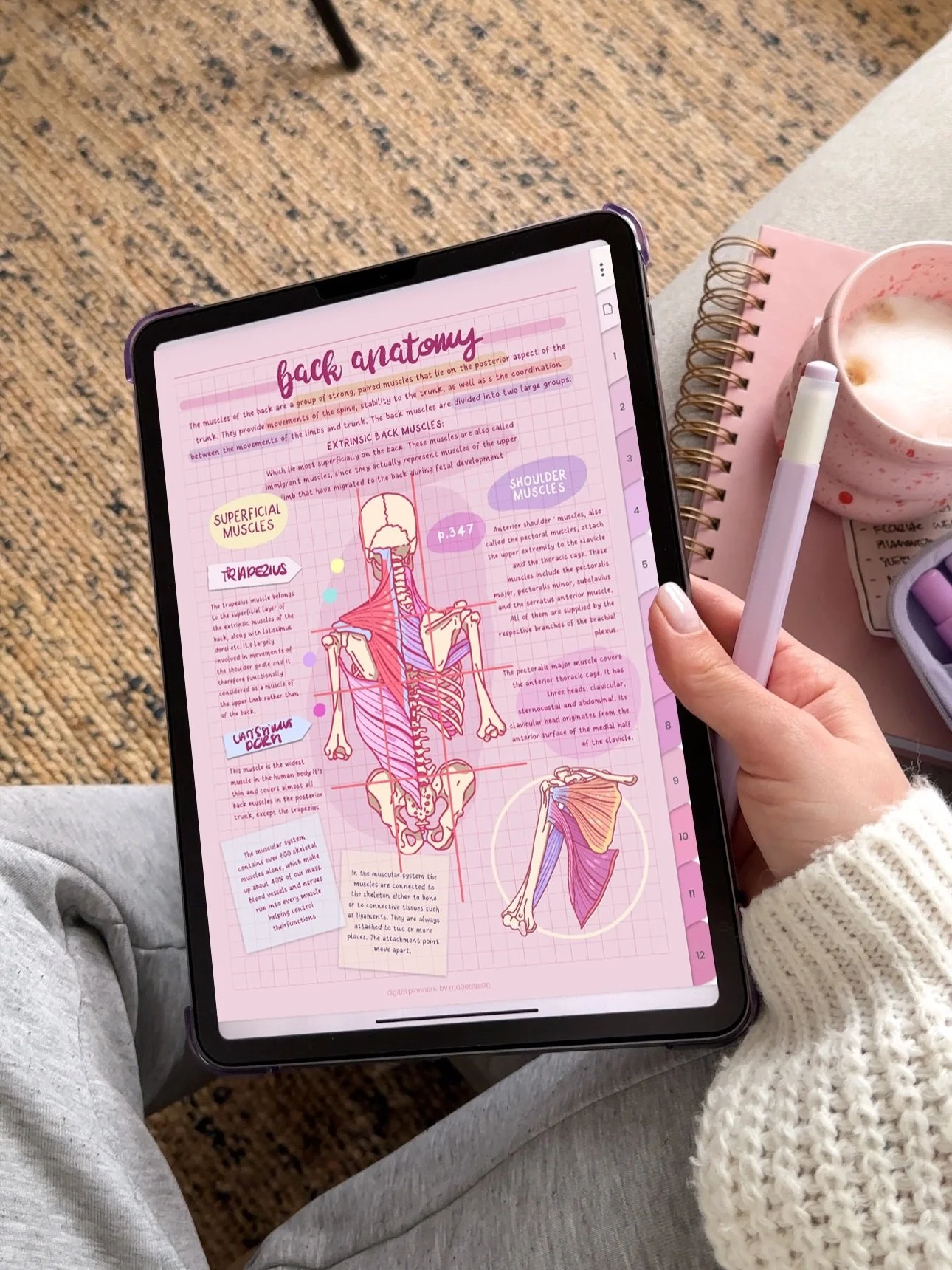 Who said study notes has to be boring? 😂😍💗 comment NOTES below and I will sent you more details about the new digital notebooks ✏️👩🏼&zwj;💻🎓✨ 
Swipe left for some note-taking ASMR ✏️📓💖

Using my new Pink Mode Notebooks and my Handwritten Font