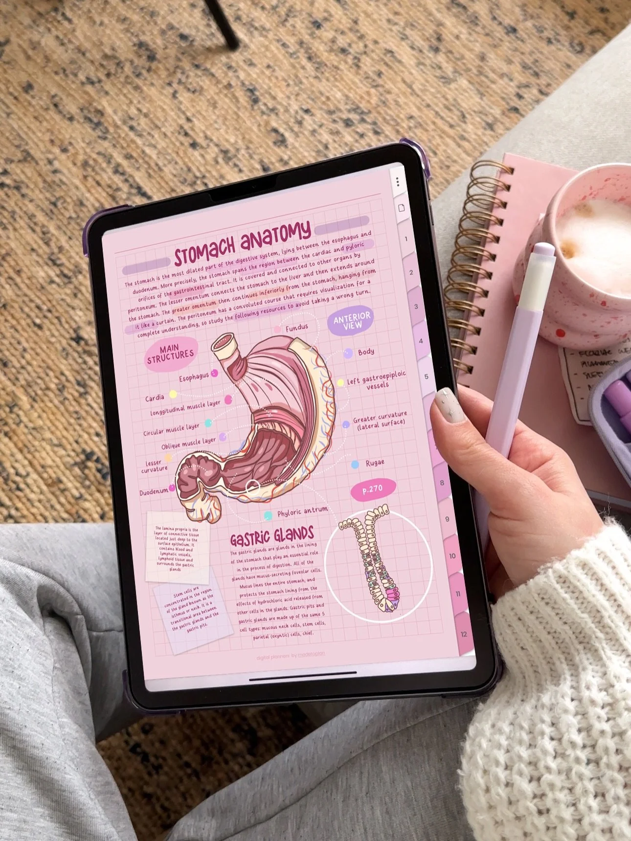 This pink notebook will be my whole personality this year 😇💞✏️ Comment PINK below and I will share with you the link to my pink note taking templates and font I use ✍🏻🥰  Swipe left for some iPad note-taking ASMR ✏️📓💖

Using my new Pink Mode Not