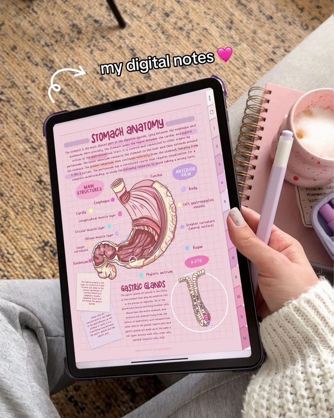 This pink notebook will be my whole personality this year 😇💞✏️ Comment PINK below and I will share with you the link to my pink note taking templates and font I use ✍🏻🥰  Swipe left for some iPad note-taking ASMR ✏️📓💖

Using my new Pink Mode Not