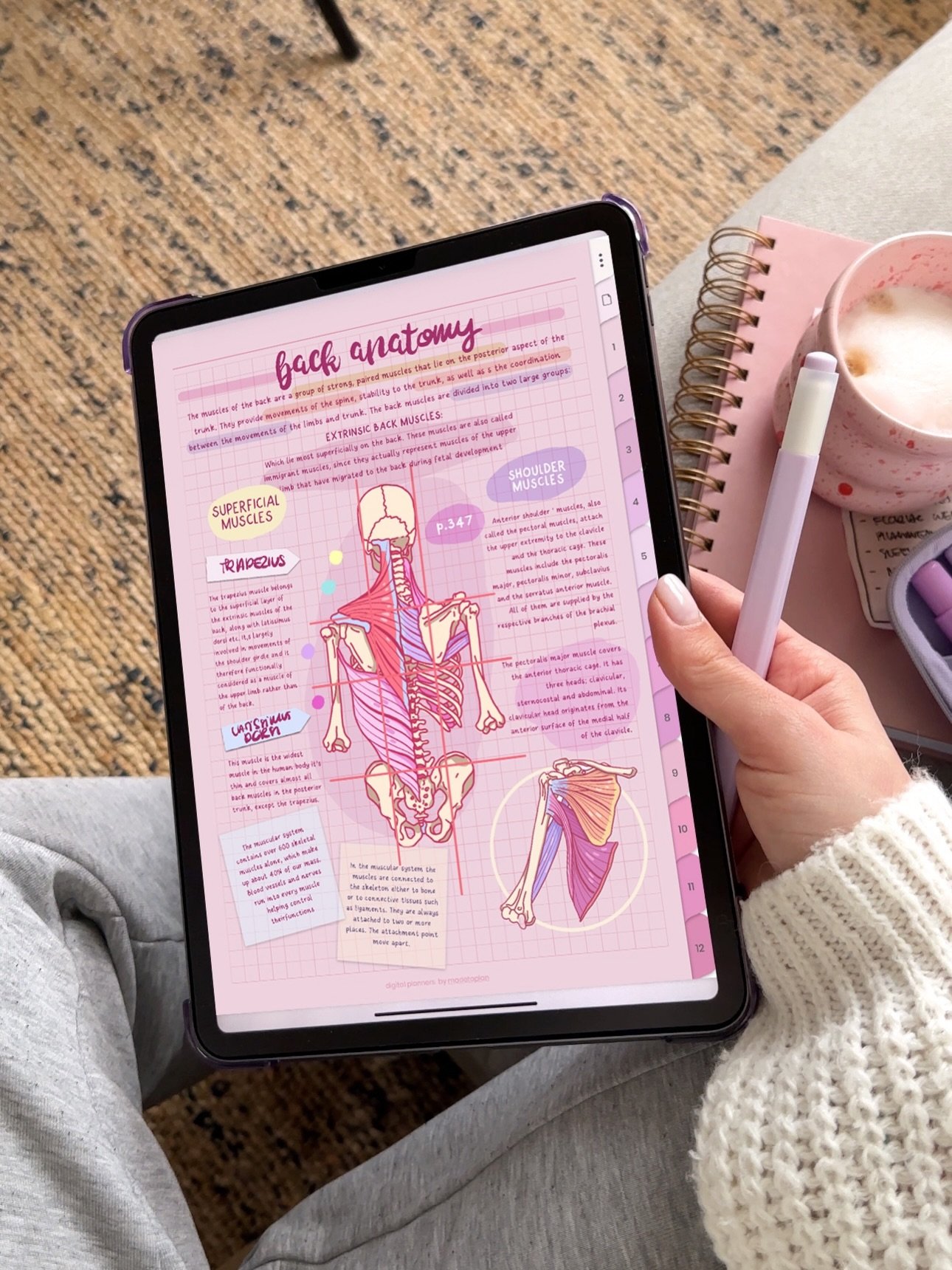 In my pink notes era 🥹🩷✏️ Comment PINK below and I will share with you the link to my pink digital notebook and font I use here 🩷✨

Get ready with me to take some human anatomy notes on my iPad🫀🩺

Using my new Digital Pink Mode Notebook and my H