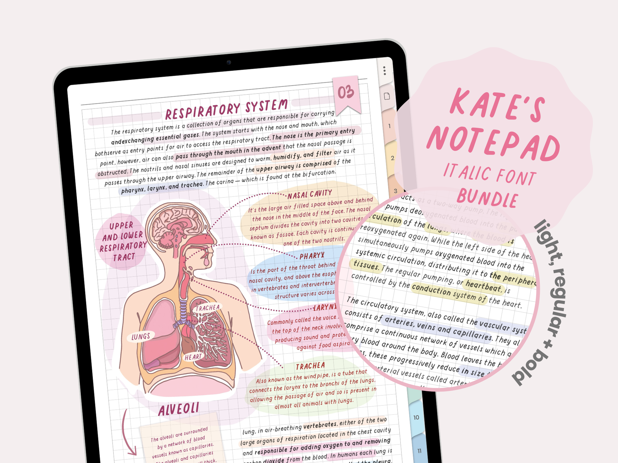 Notepad Lettering Fonts - Digital Stationery by MADEtoPLAN