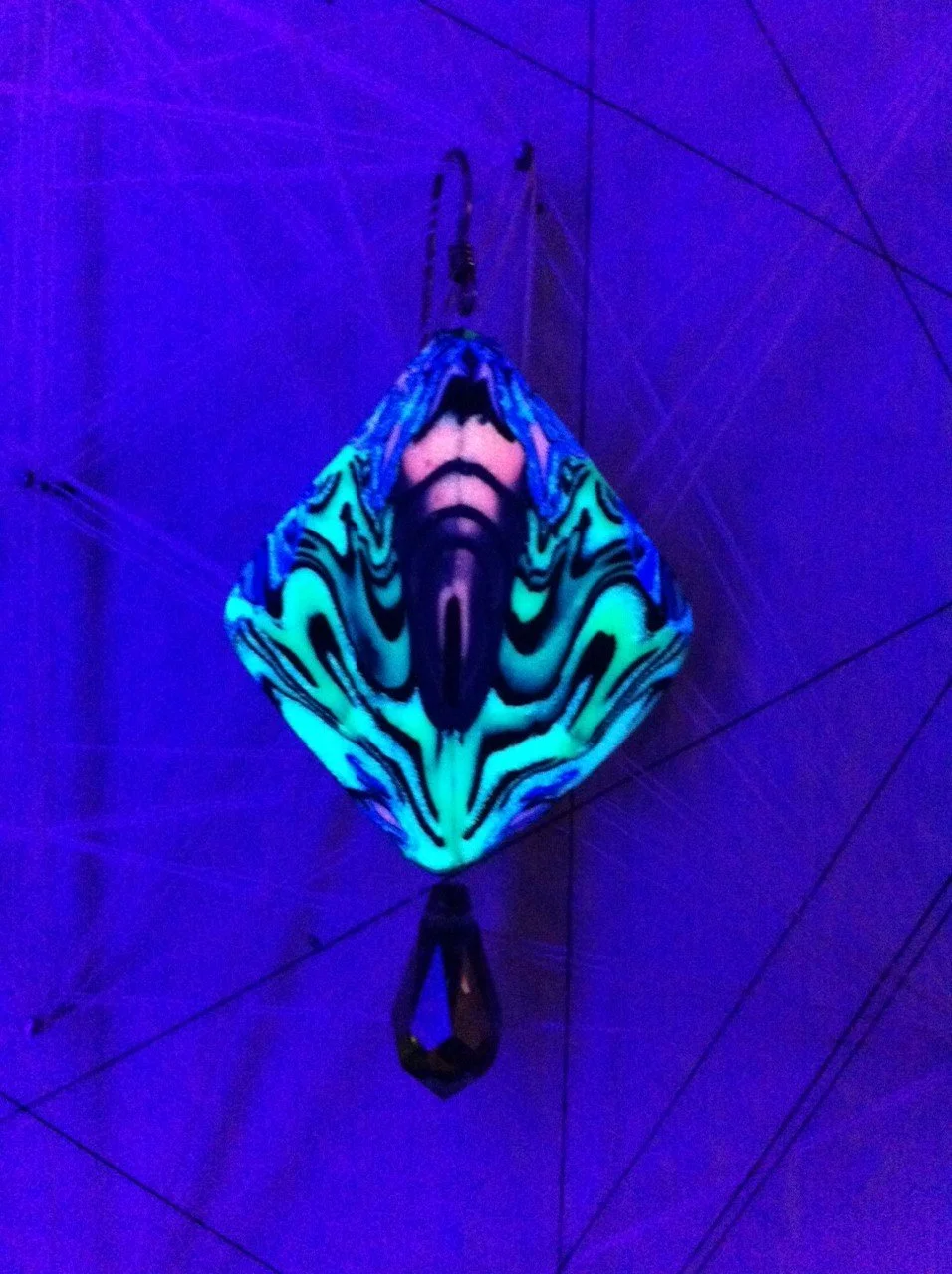 ELECTRIC JUNGLE4.2.JPG