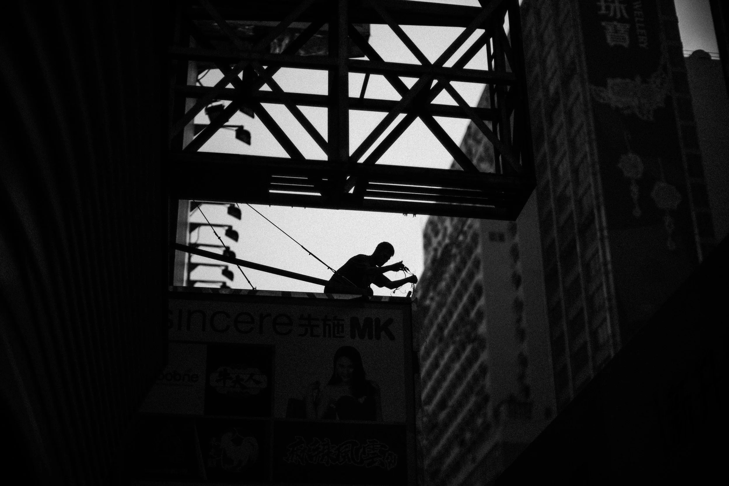 L1003728.jpg