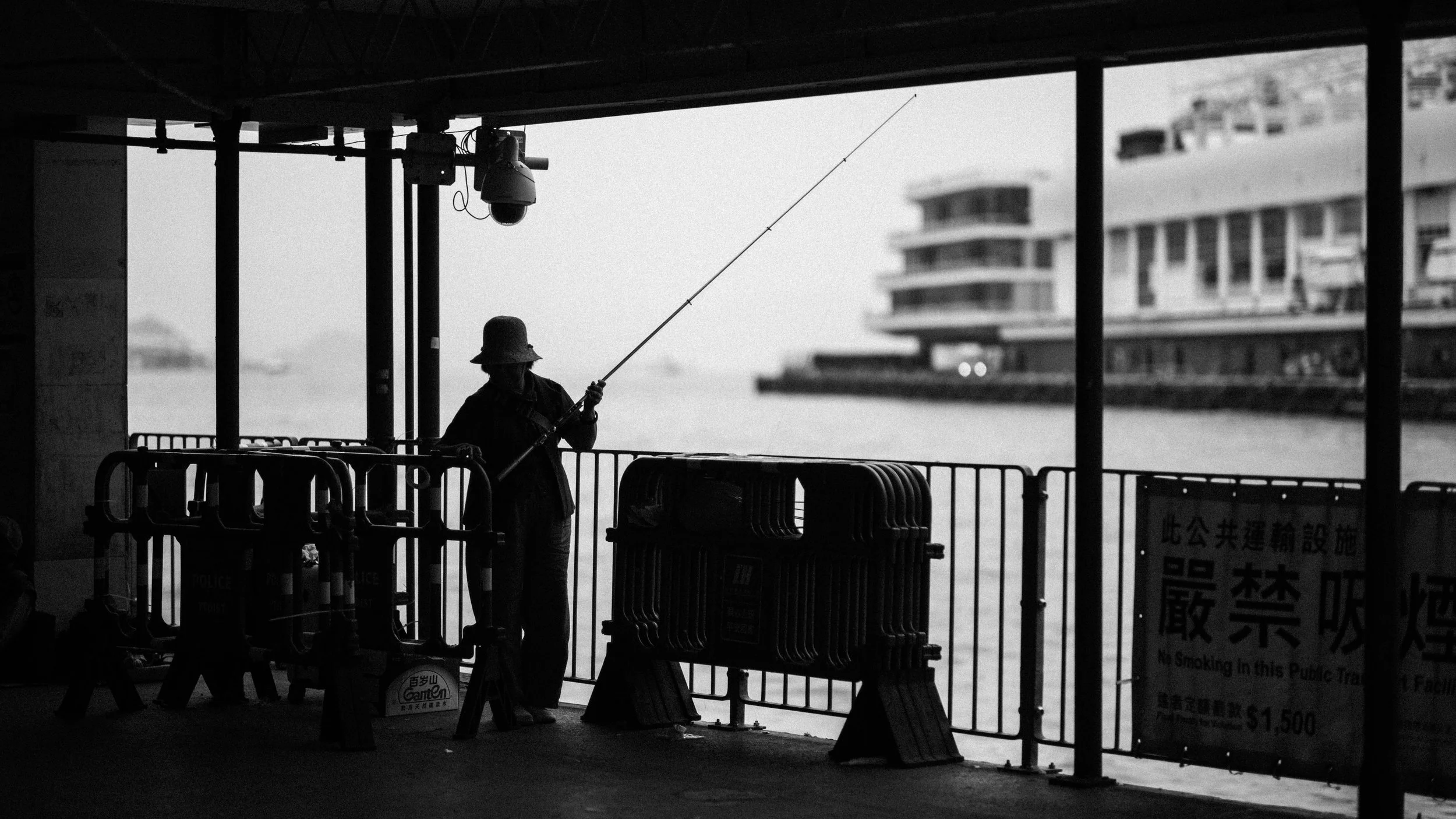 L1009767.jpg