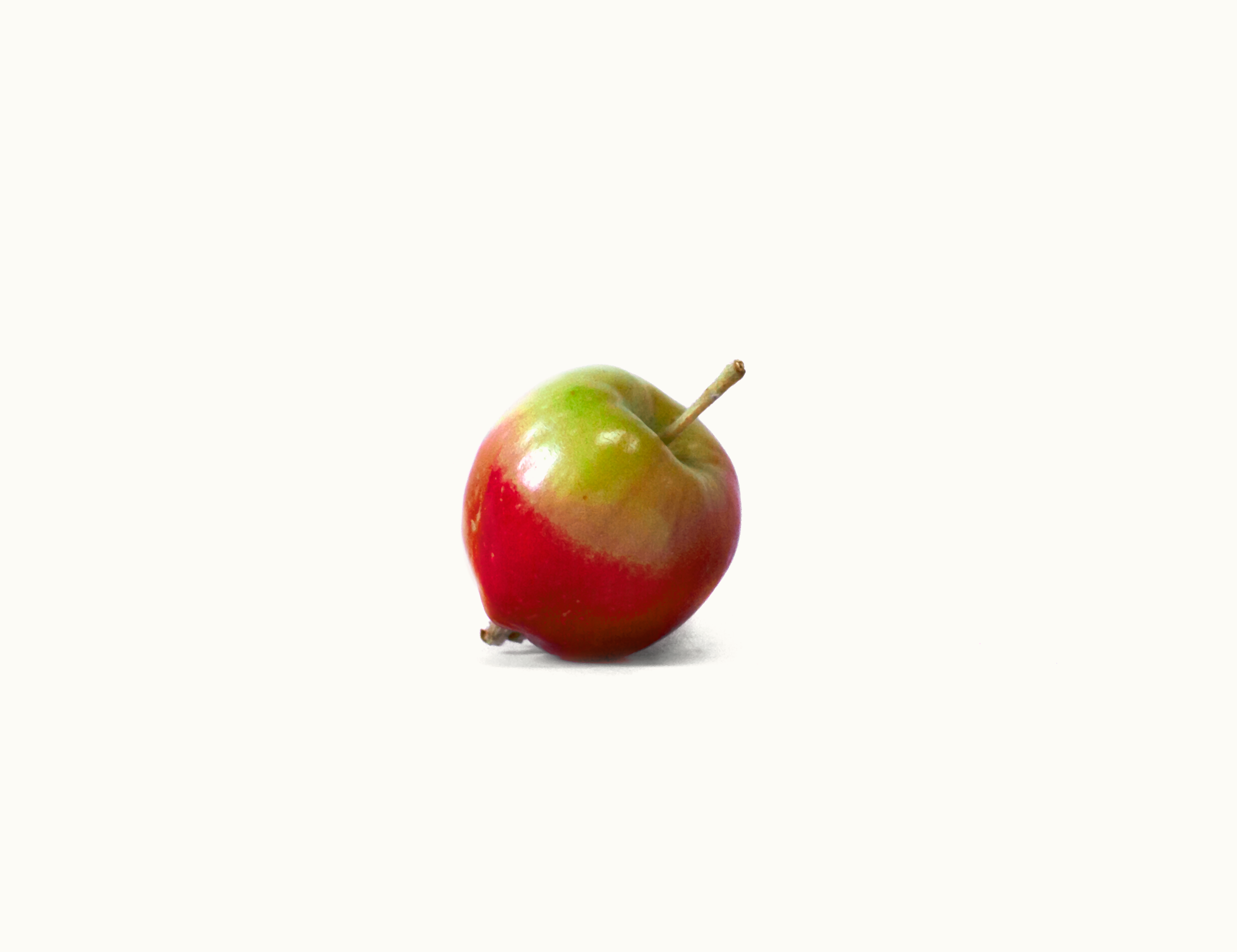 Wickson-1.png