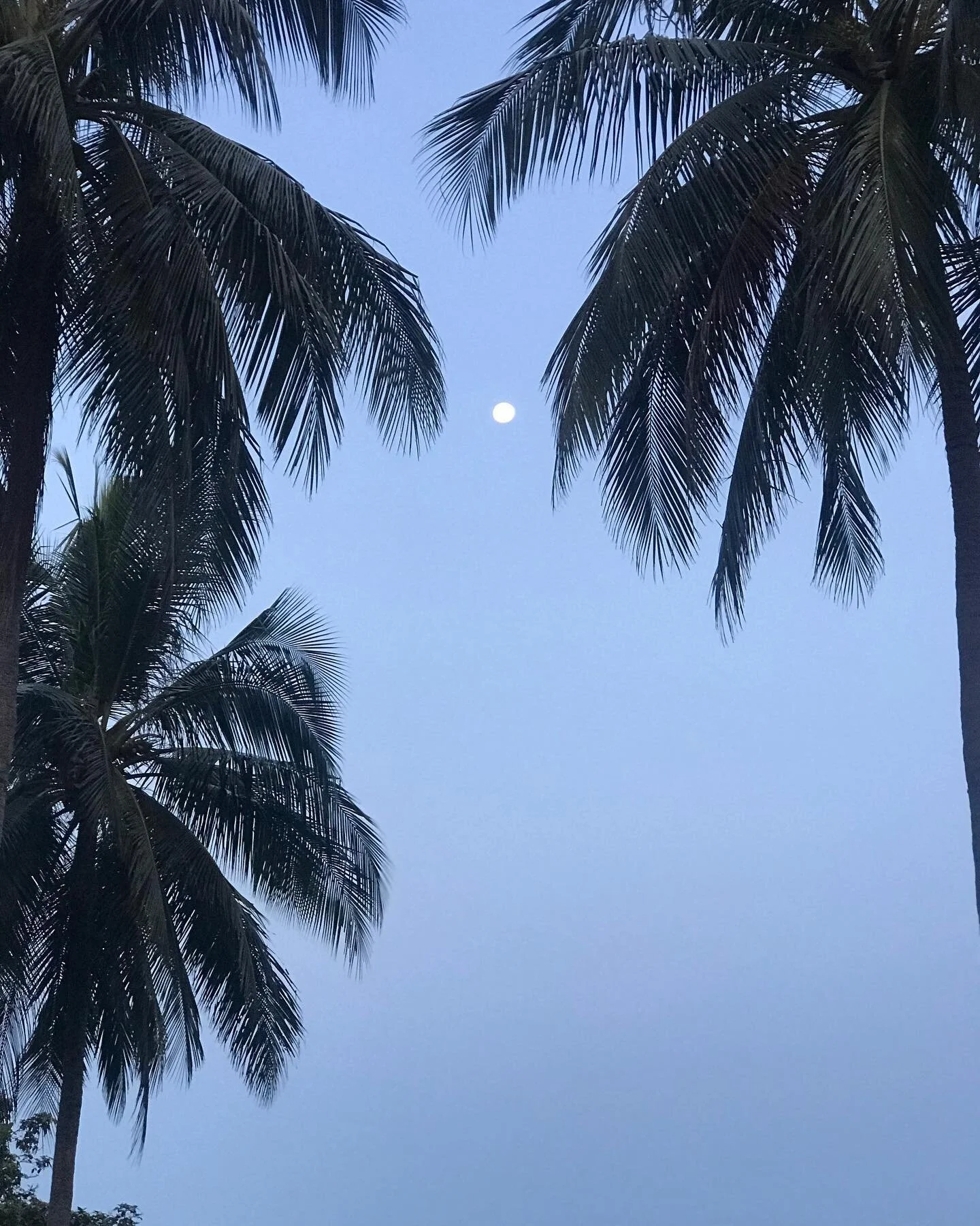 &ldquo;I look up at the night sky
and I know that, yes, 
we are part of this Universe, 
we are in this Universe

But perhaps more important than both of those facts 
is that the Universe is in us. 

Many people feel small, 
because they&rsquo;re smal