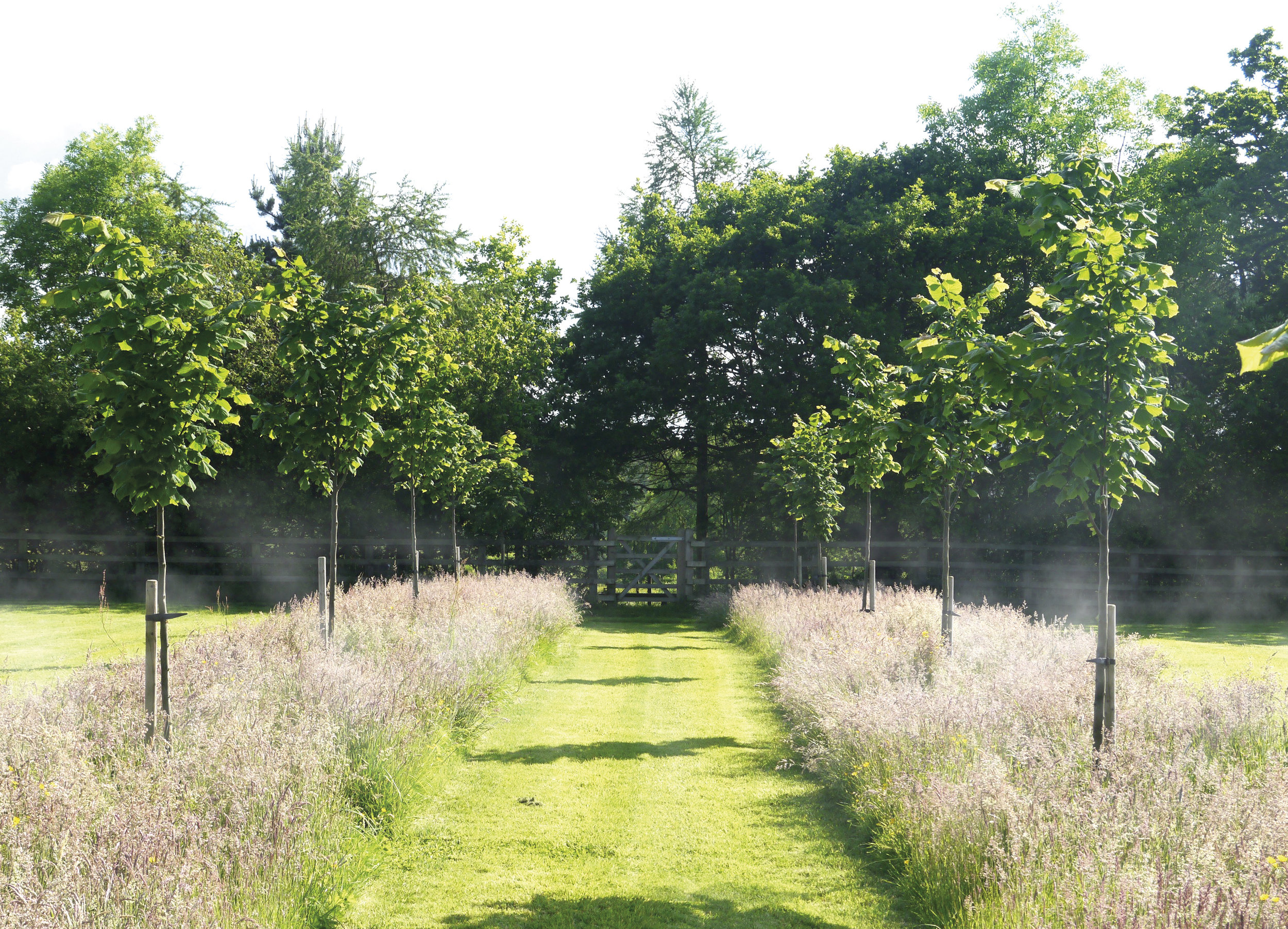 Paddock Adj mist.jpg