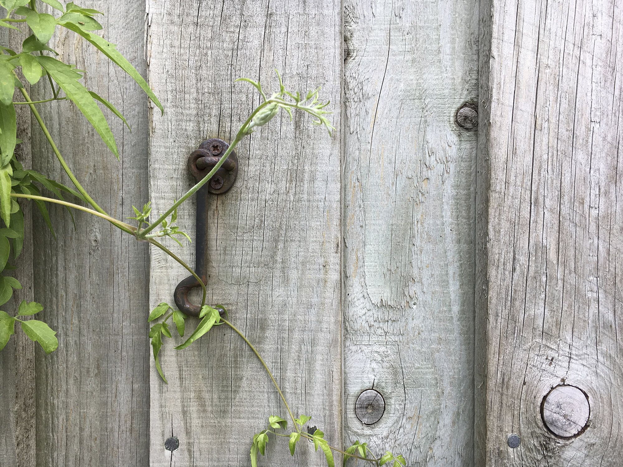 Potting Shed Detail 03.jpg