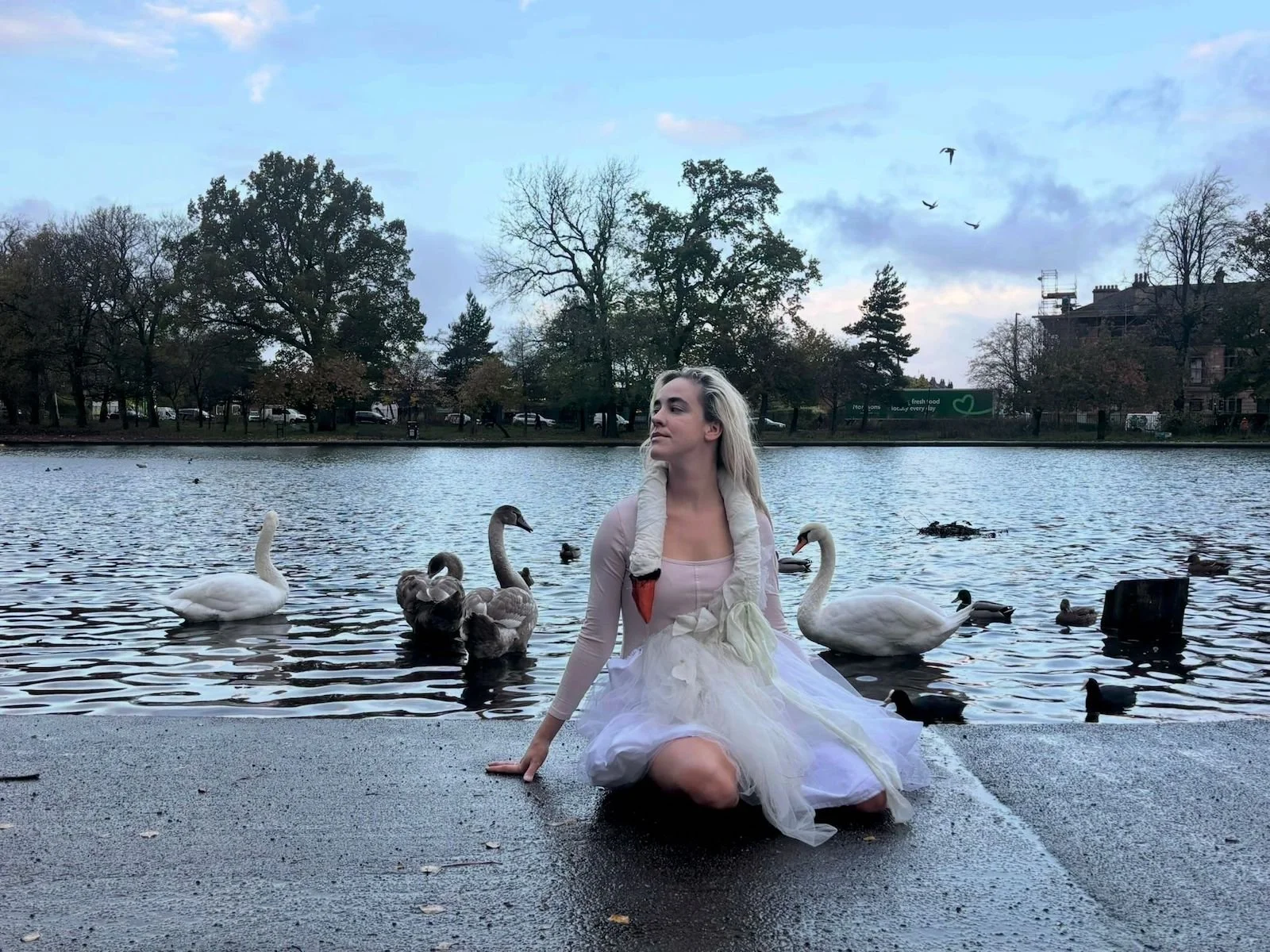 A white karaoke host wearing a Björk swan dress in front of real swans in Queens Park.