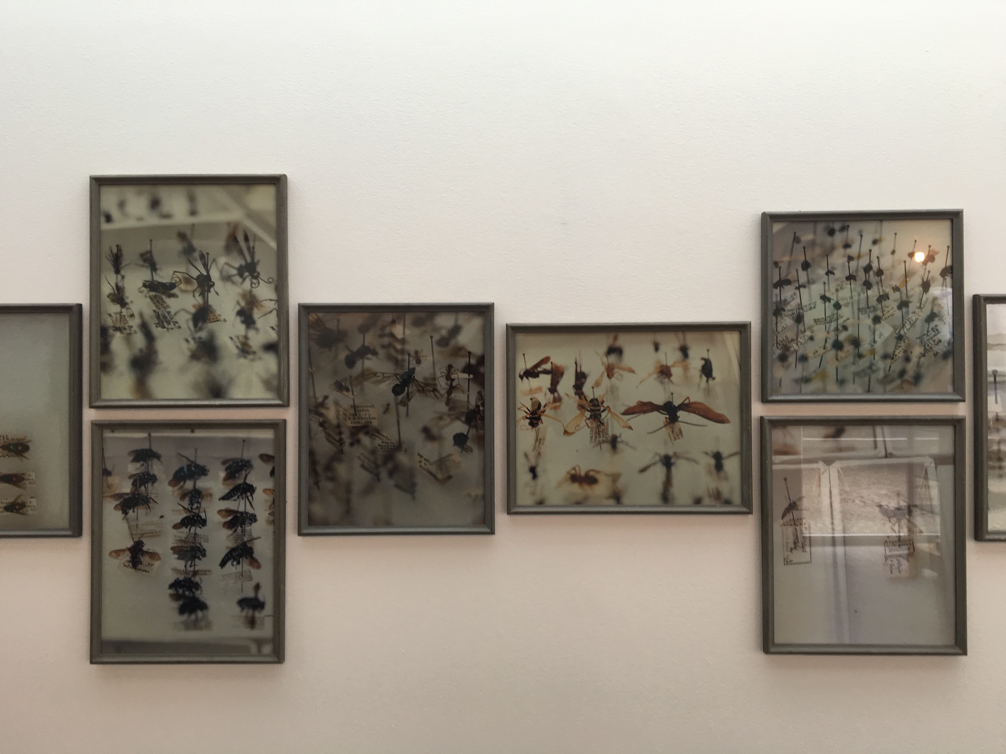 Simryn Gill, The Opening Up of the World, 2017, Lunds Konsthall